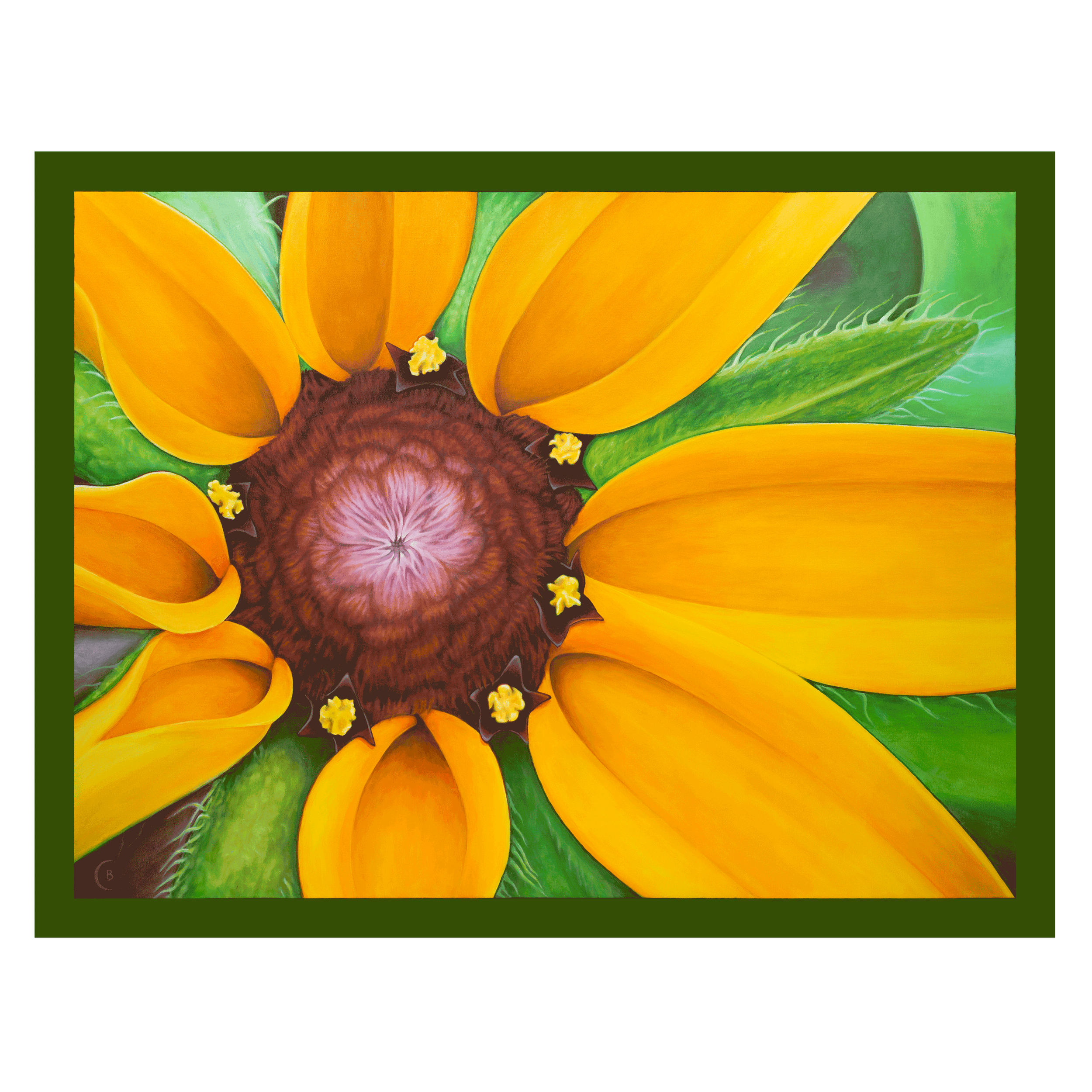 BlkEyedSusan-canvas-48x36.png