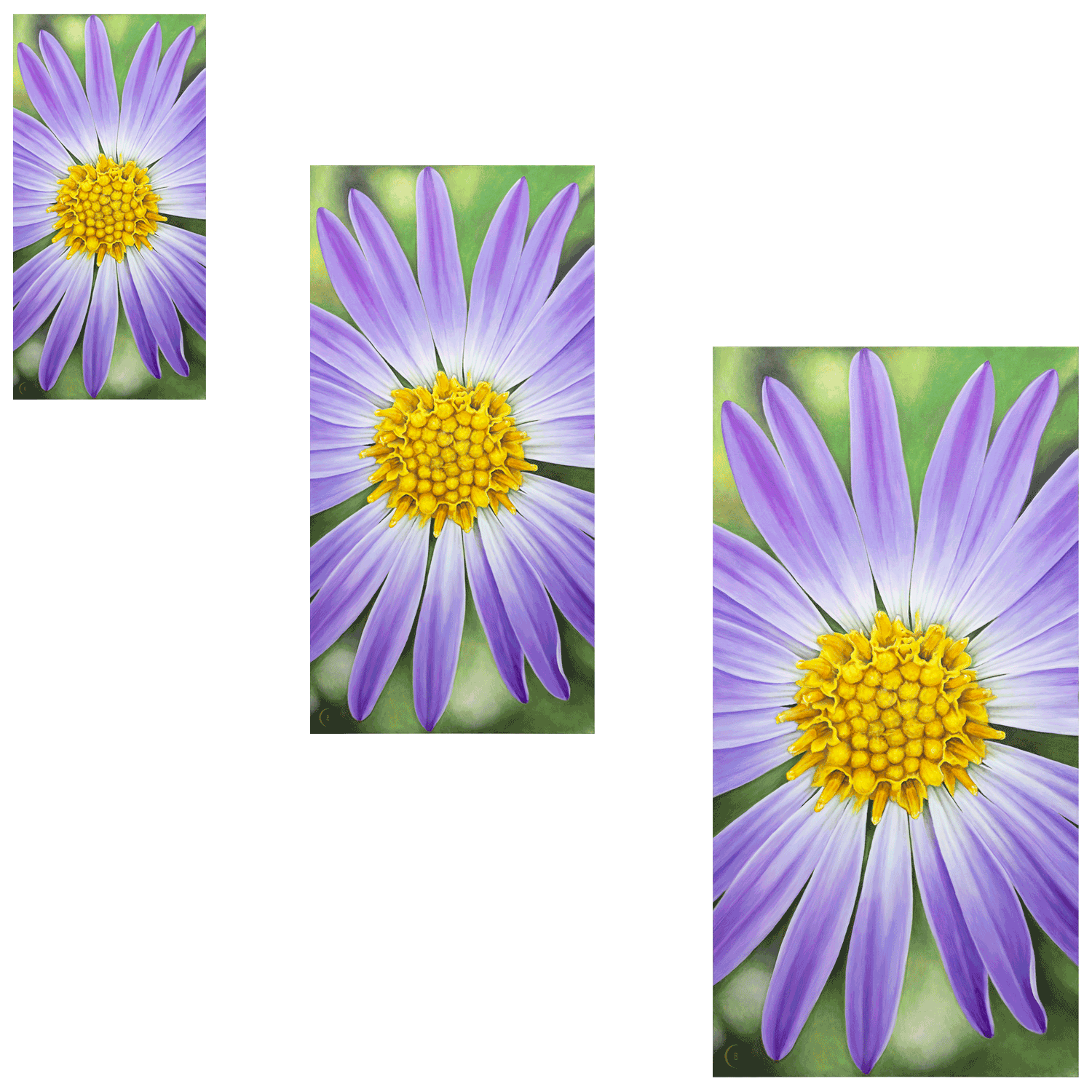 AAster-PaperPrintSizes-1.png