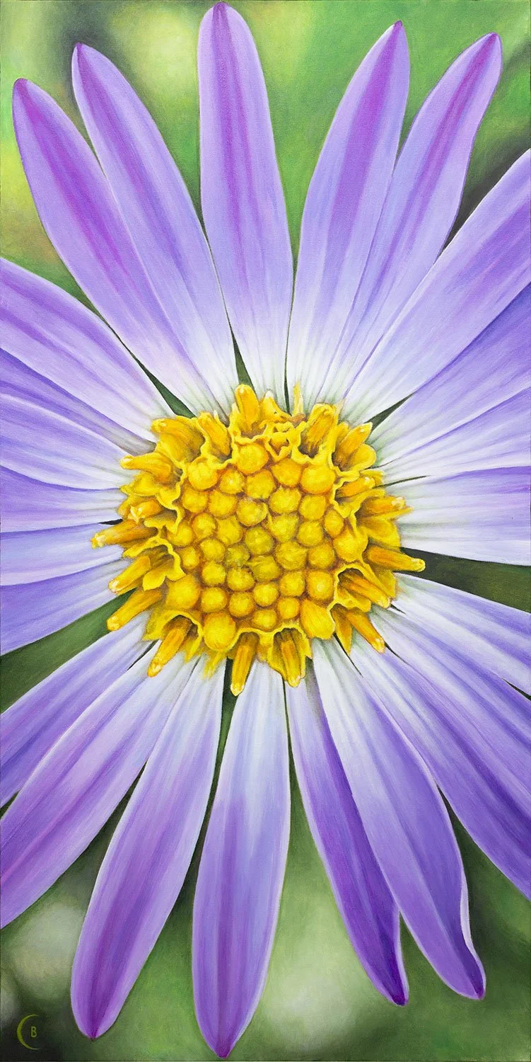 American Aster
Acrylic on Canvas • 24" x 48" x 1.5"