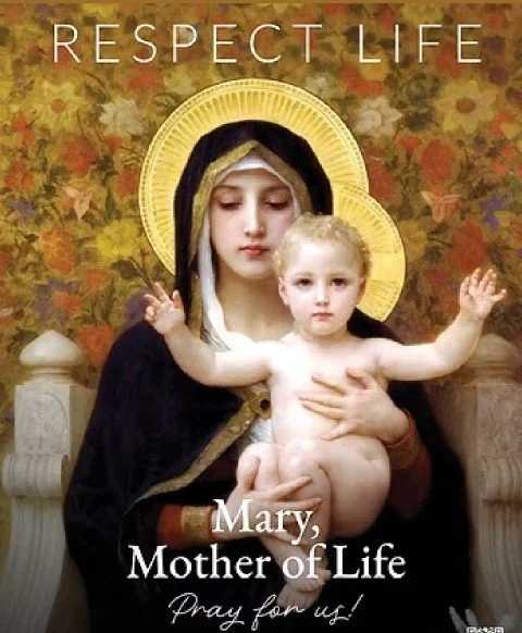 October is Respect Life Month!