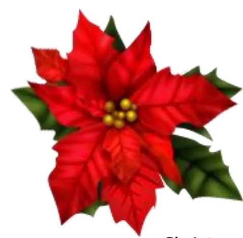 Marian Guild Poinsettia Sale