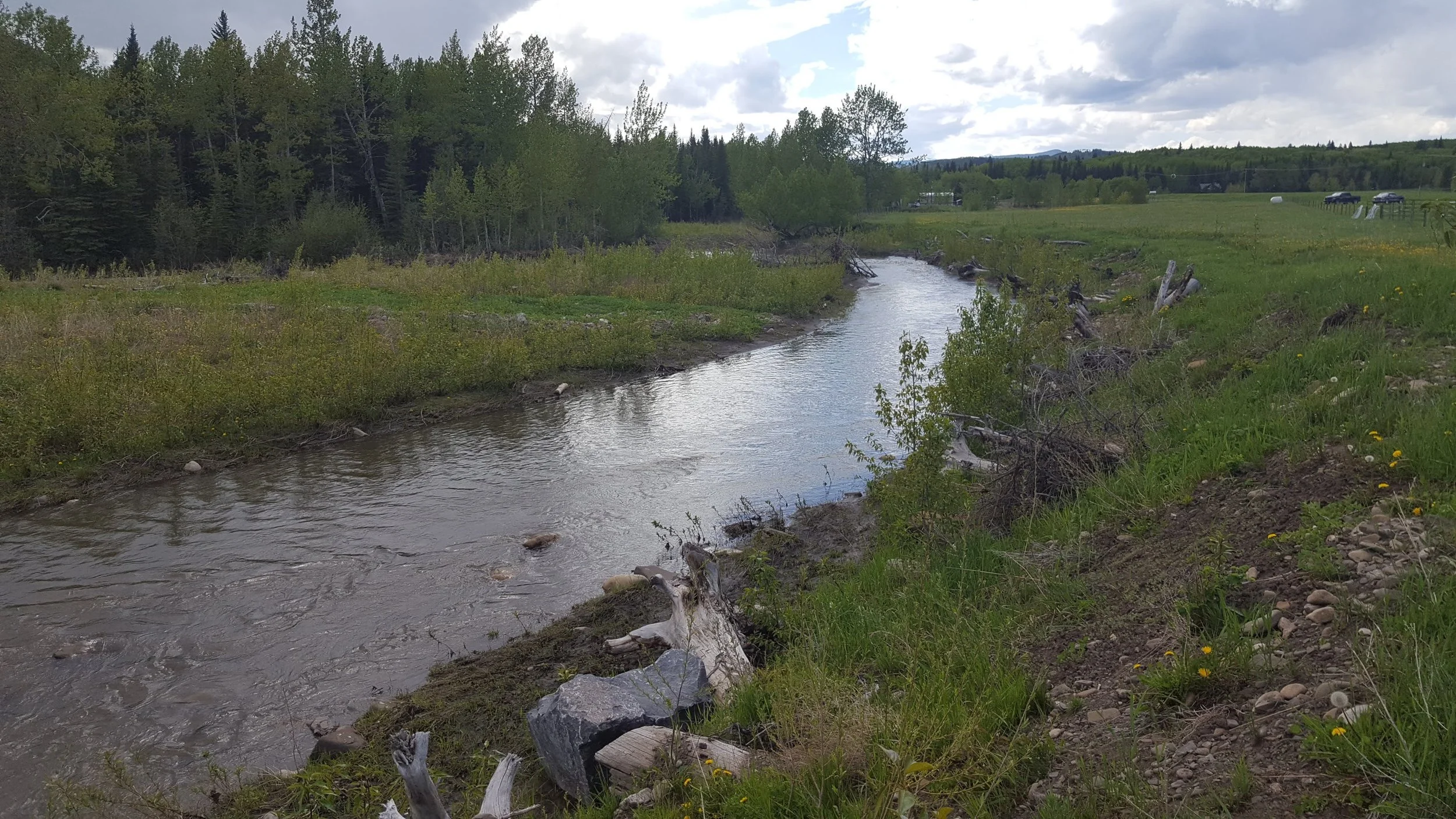 Ecohydraulics and Habitat Restoration