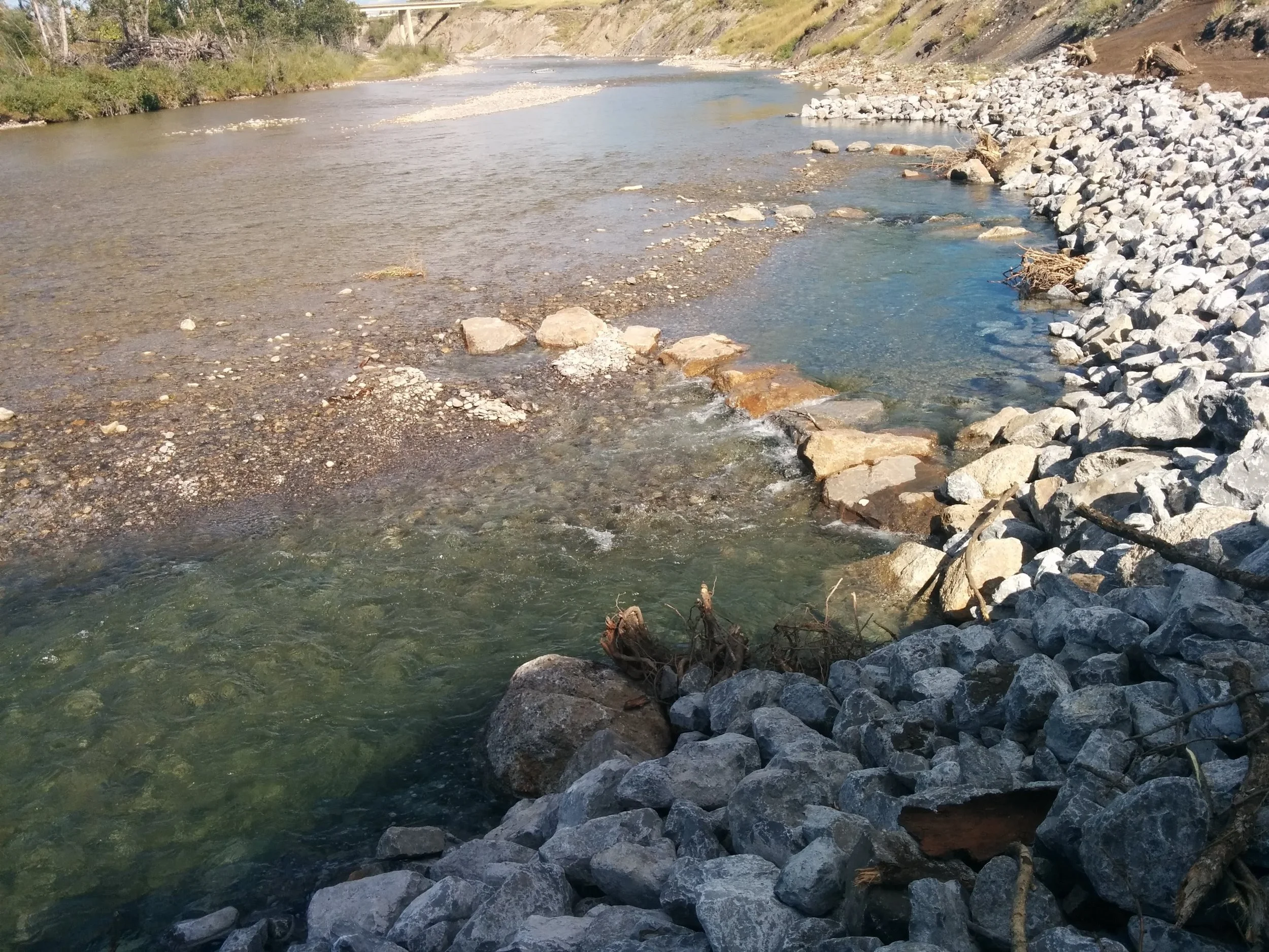 Ecohydraulics and Habitat Restoration
