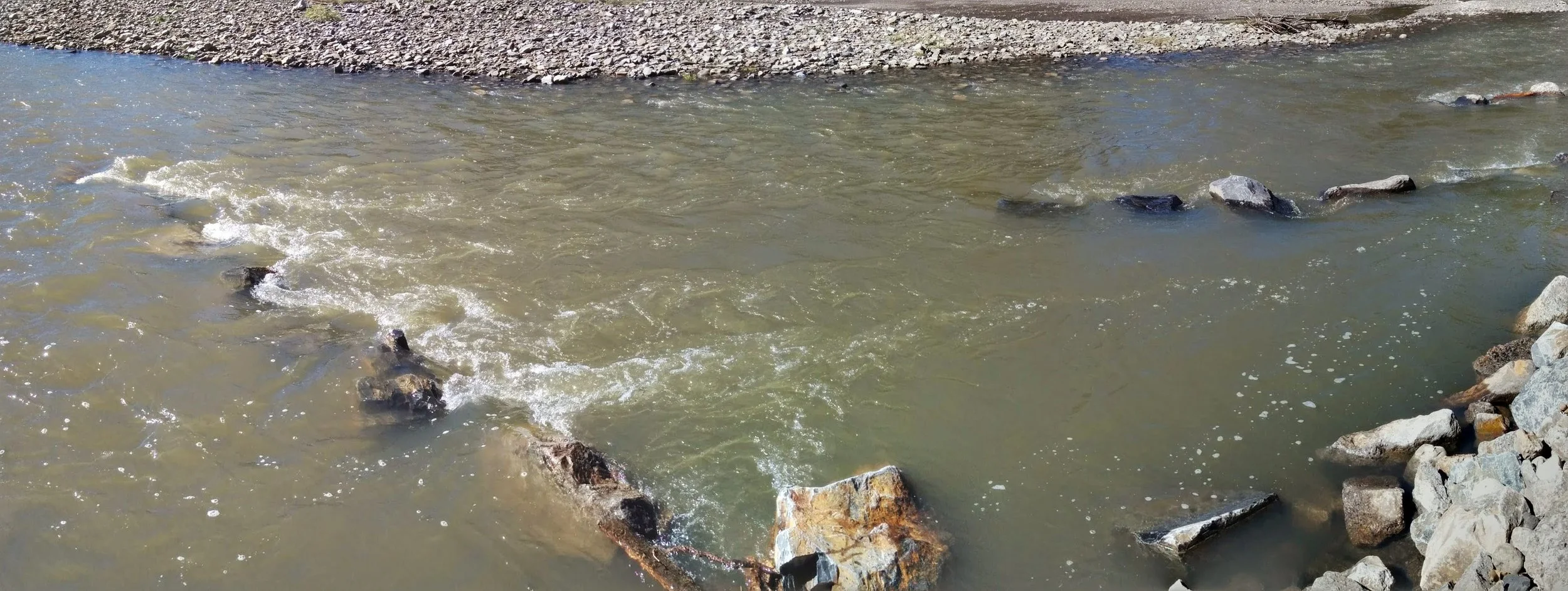 Ecohydraulics and Habitat Restoration