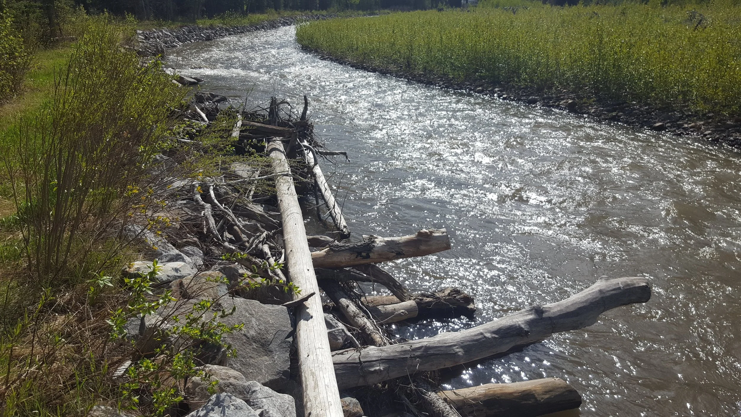 Ecohydraulics and Habitat Restoration