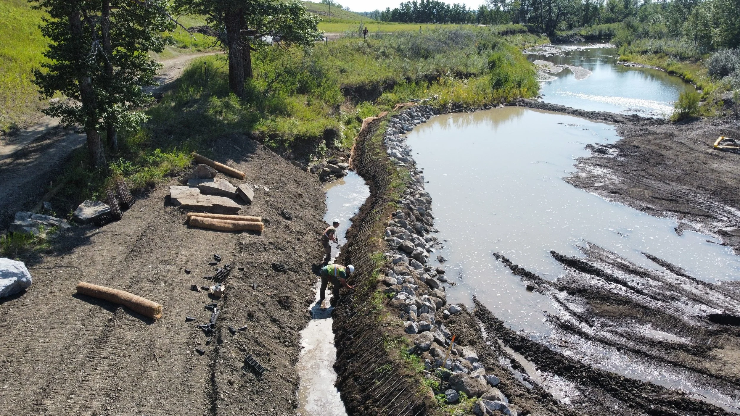Ecohydraulics and Habitat Restoration