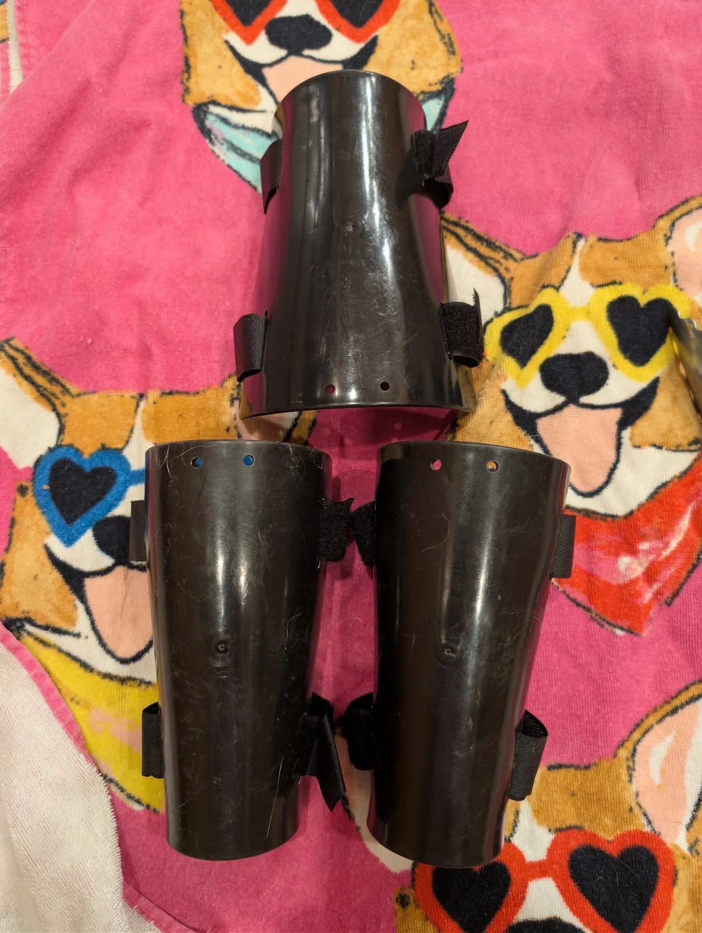 Reshaping SPES forearms. Original above. Bonus corgis. 

#HEMA #historicaleuropeanmartialarts #martialarts #wma