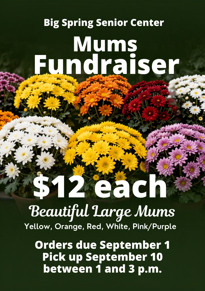 Mums Fundraiser.png