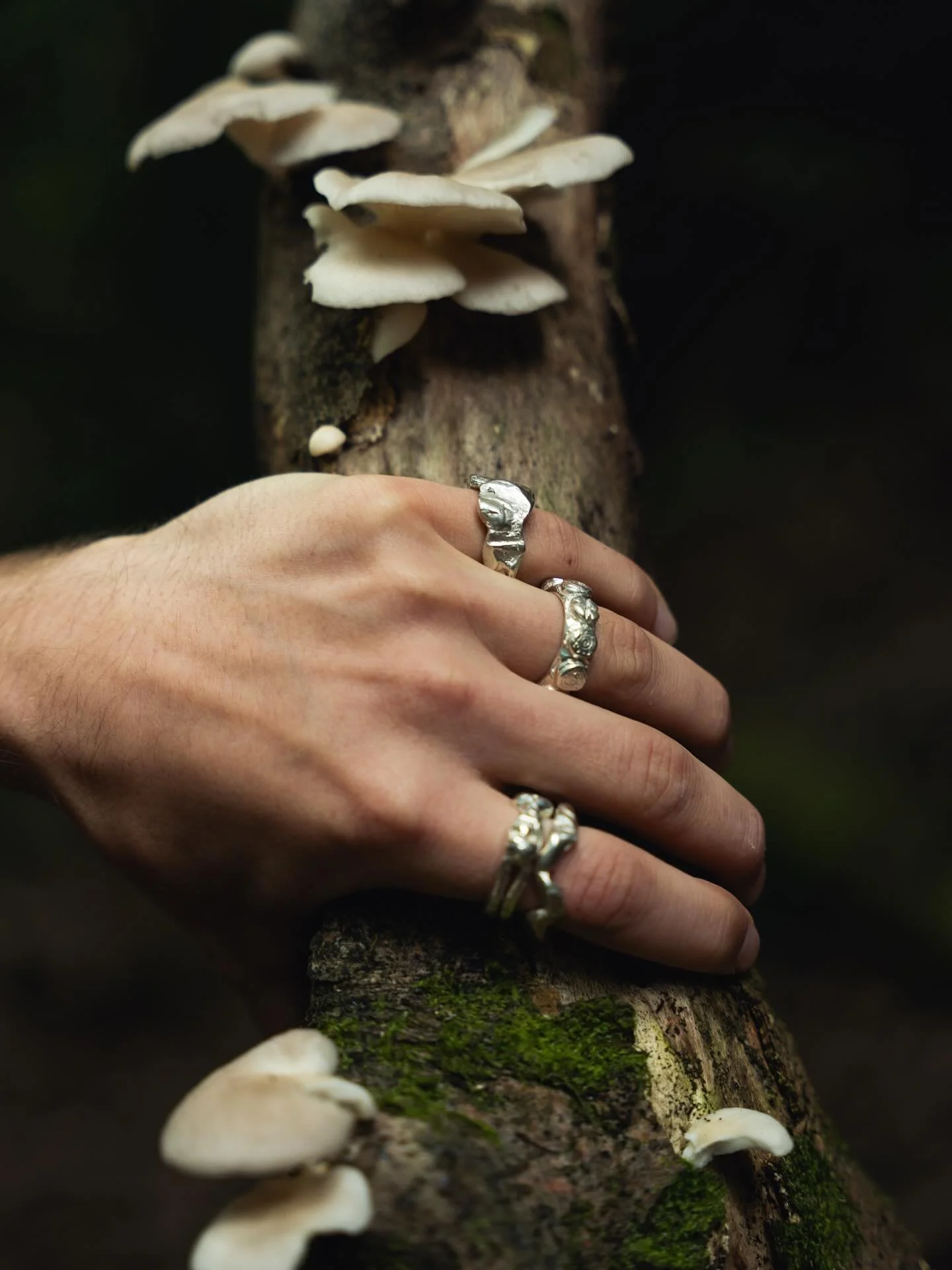 The jewels with mushrooms!

📷 @emlynbainbridge
