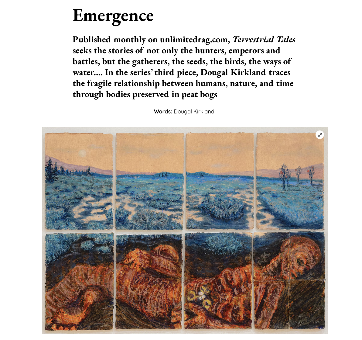 Emergence for Art Unlimited