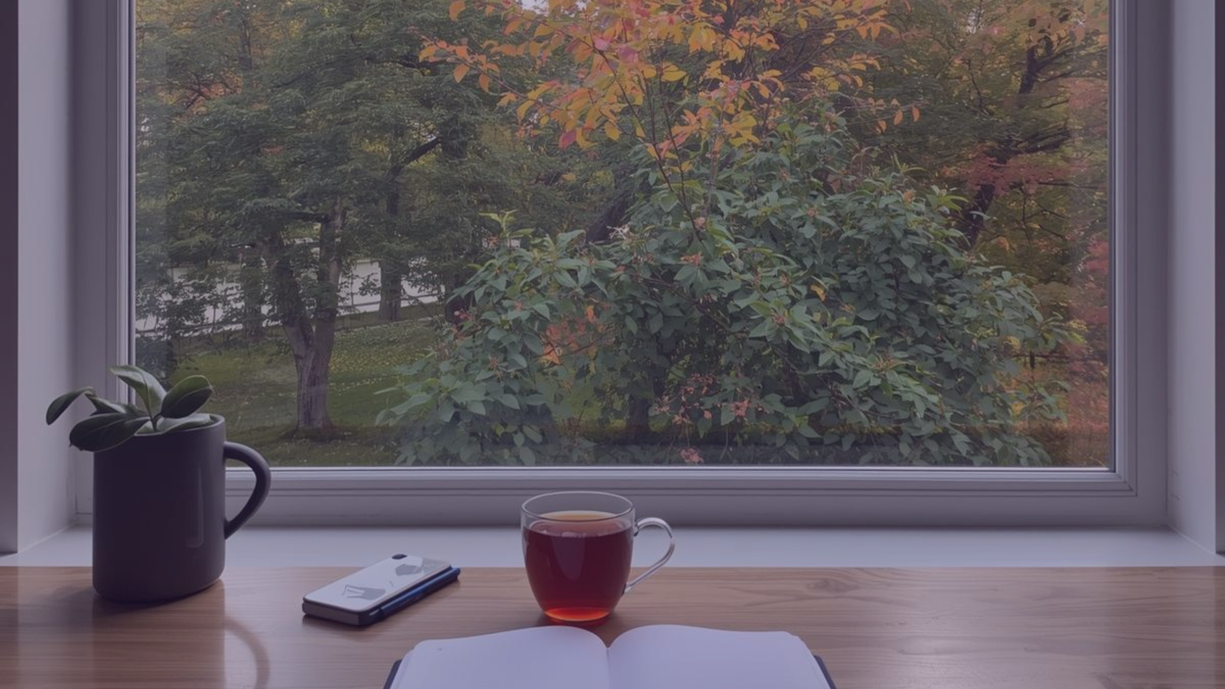 The Innernet – Edition 16