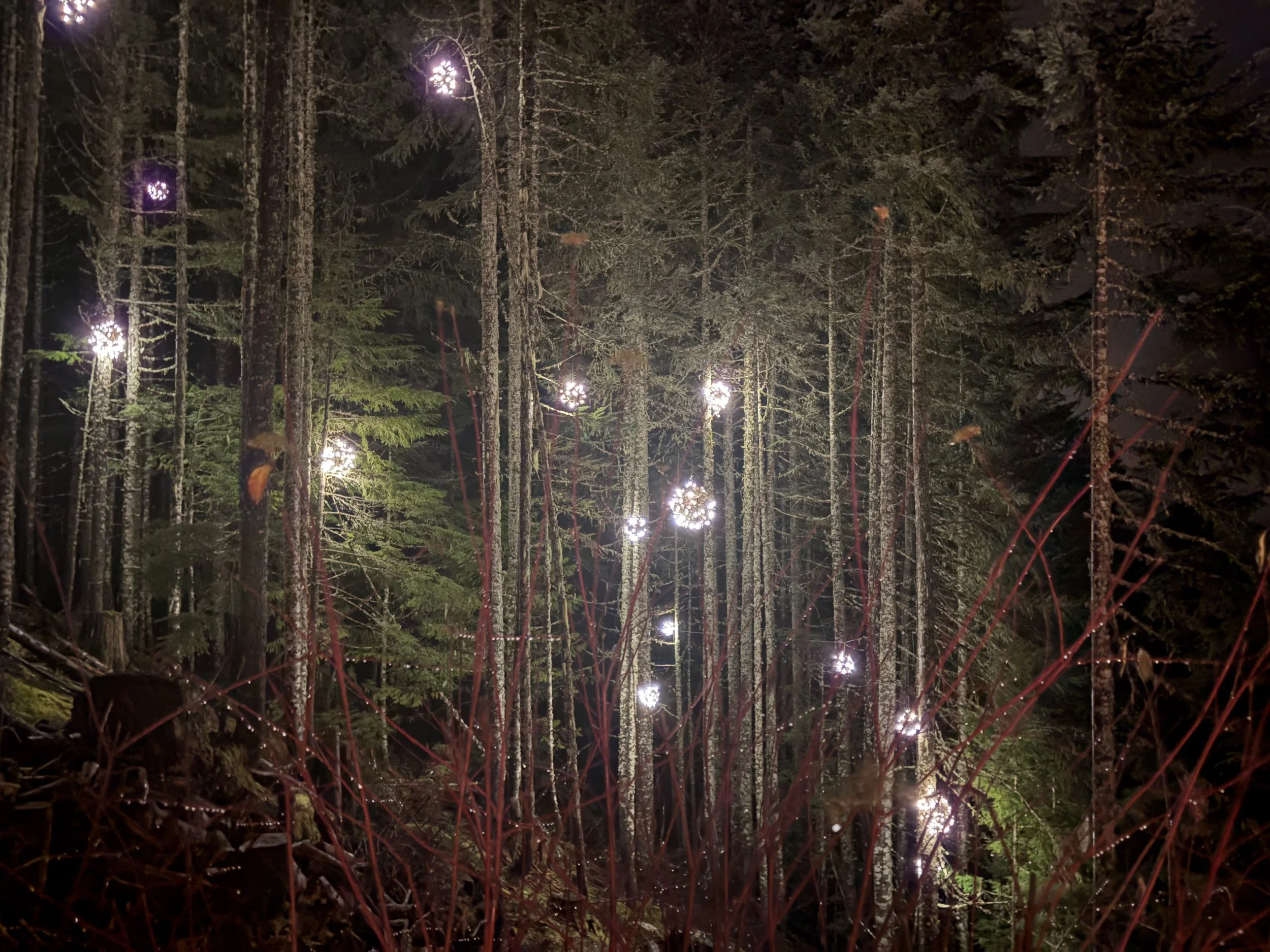 A person shoveling snow on a driveway in front of a house.