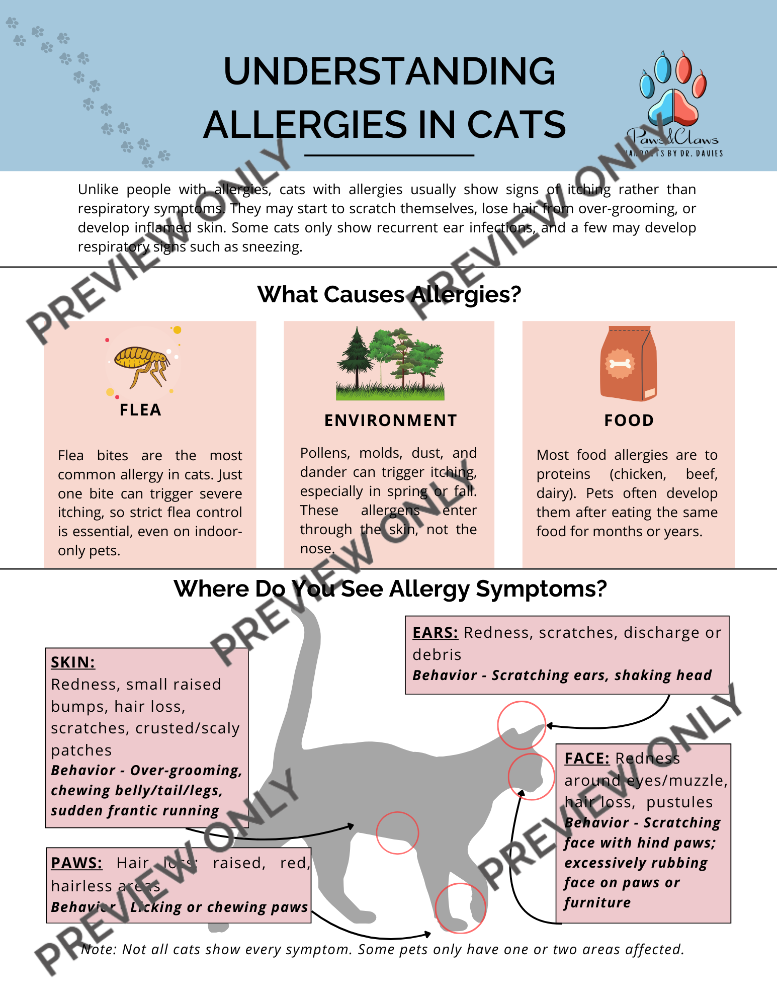 Allergies & Itching in Cats