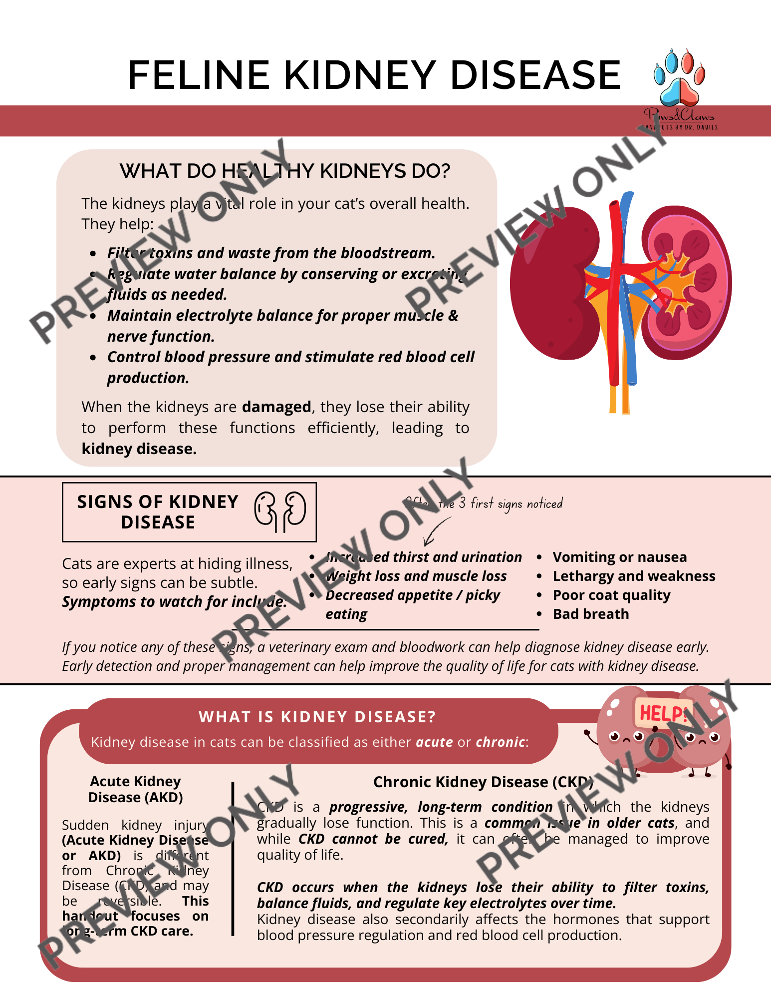 Feline Chronic Kidney Disease