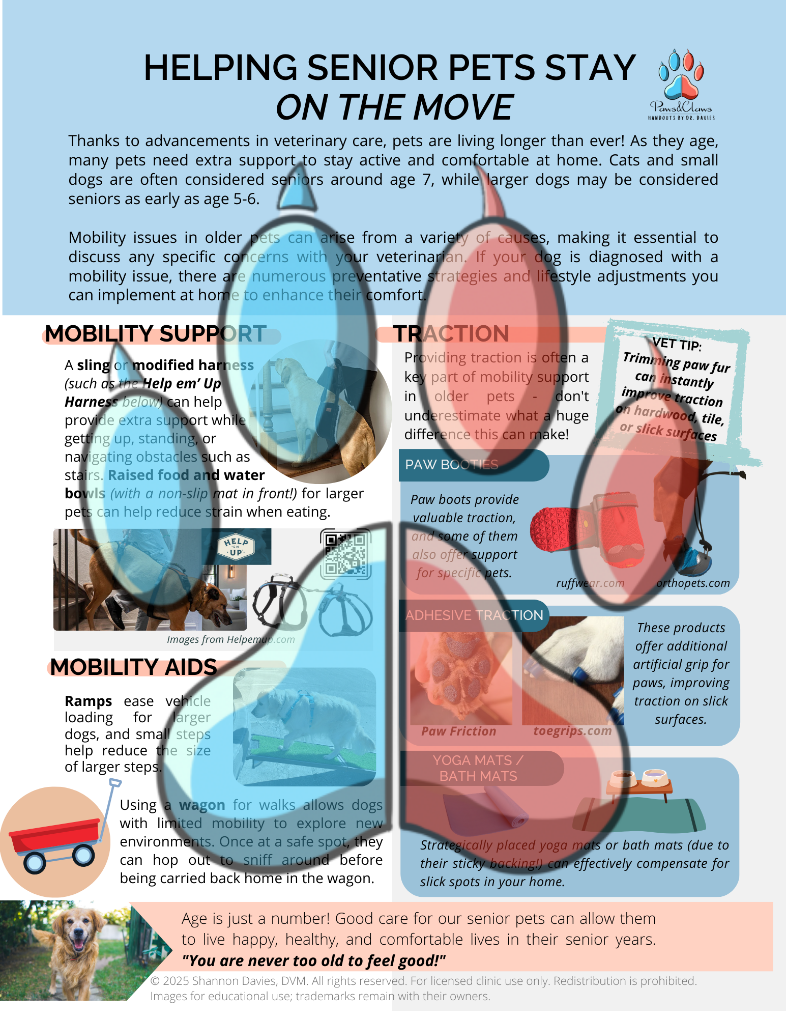 (WM)Mobility Handout.png