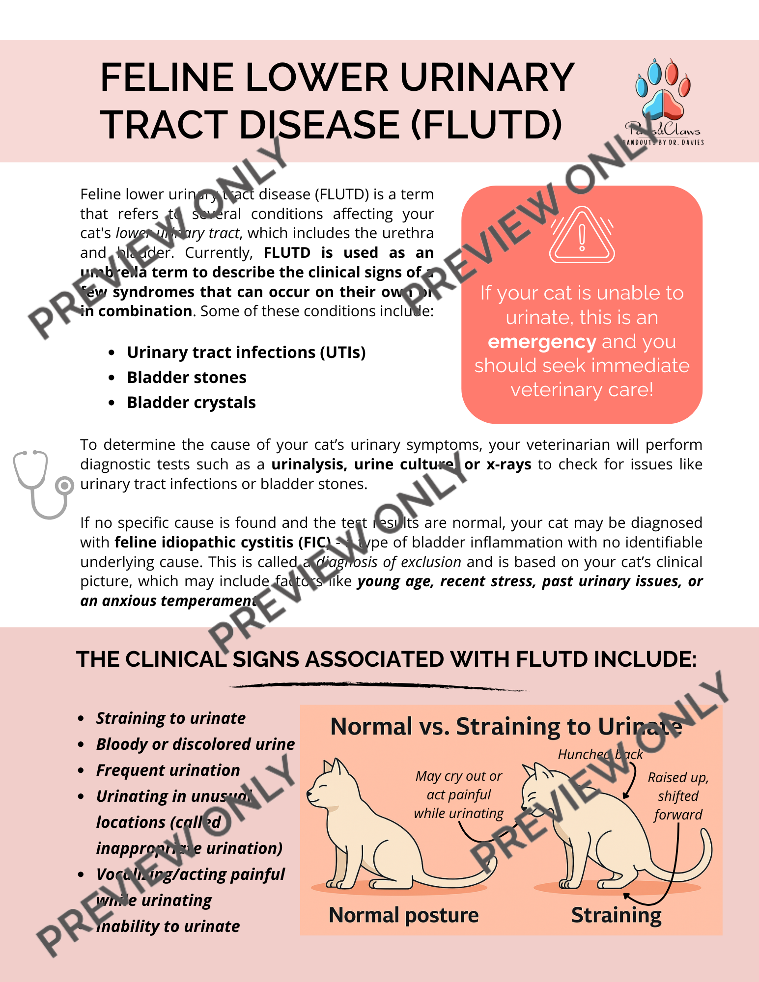 Feline Idiopathic Cystitis/FLUTD