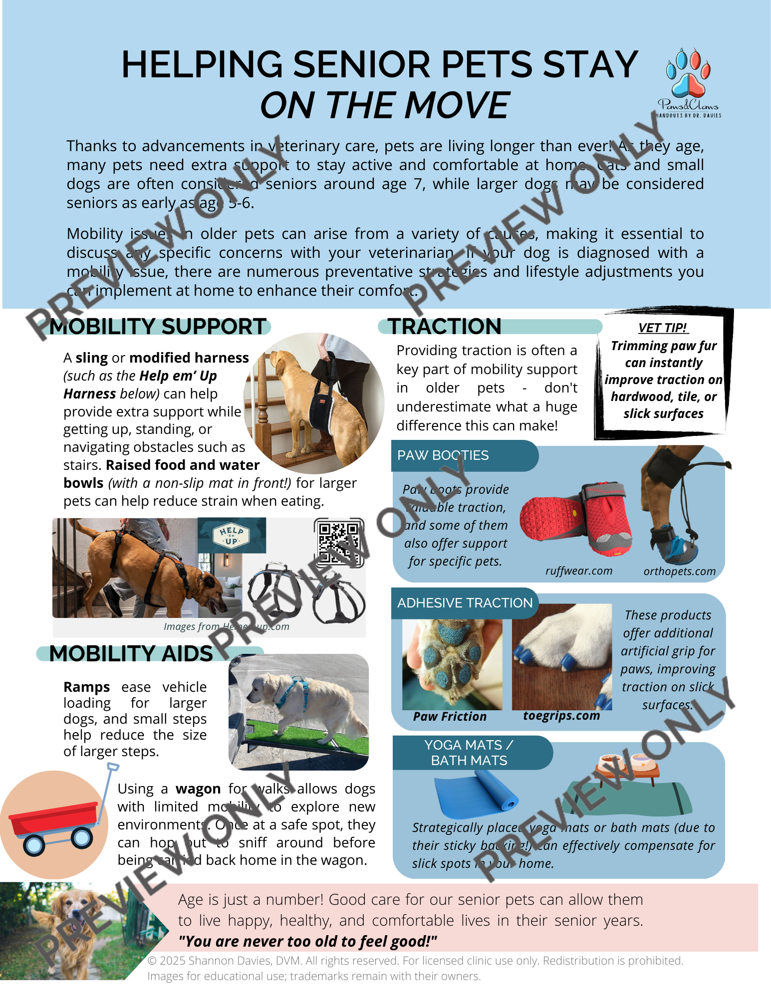 Mobility Handout.png