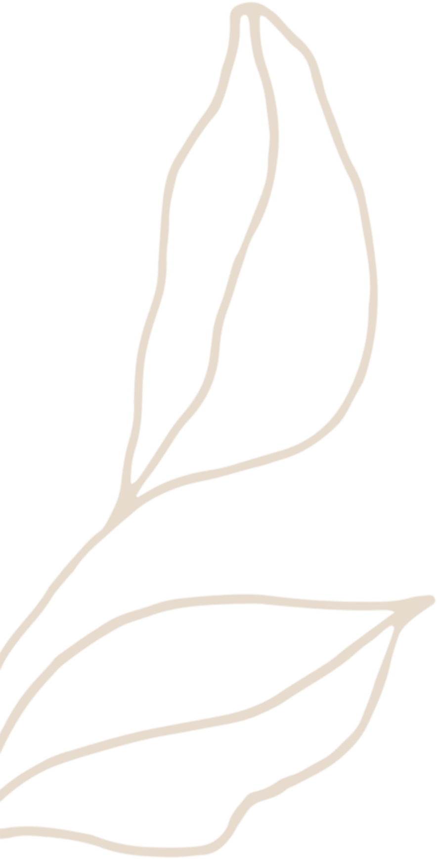 NCF - Nowata Community Foundation - Plant, Seed, Root, Branch, Fruit