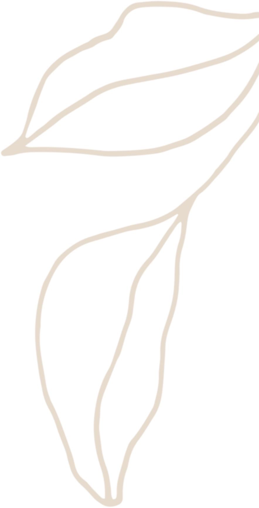 NCF - Nowata Community Foundation - Plant, Seed, Root, Branch, Fruit