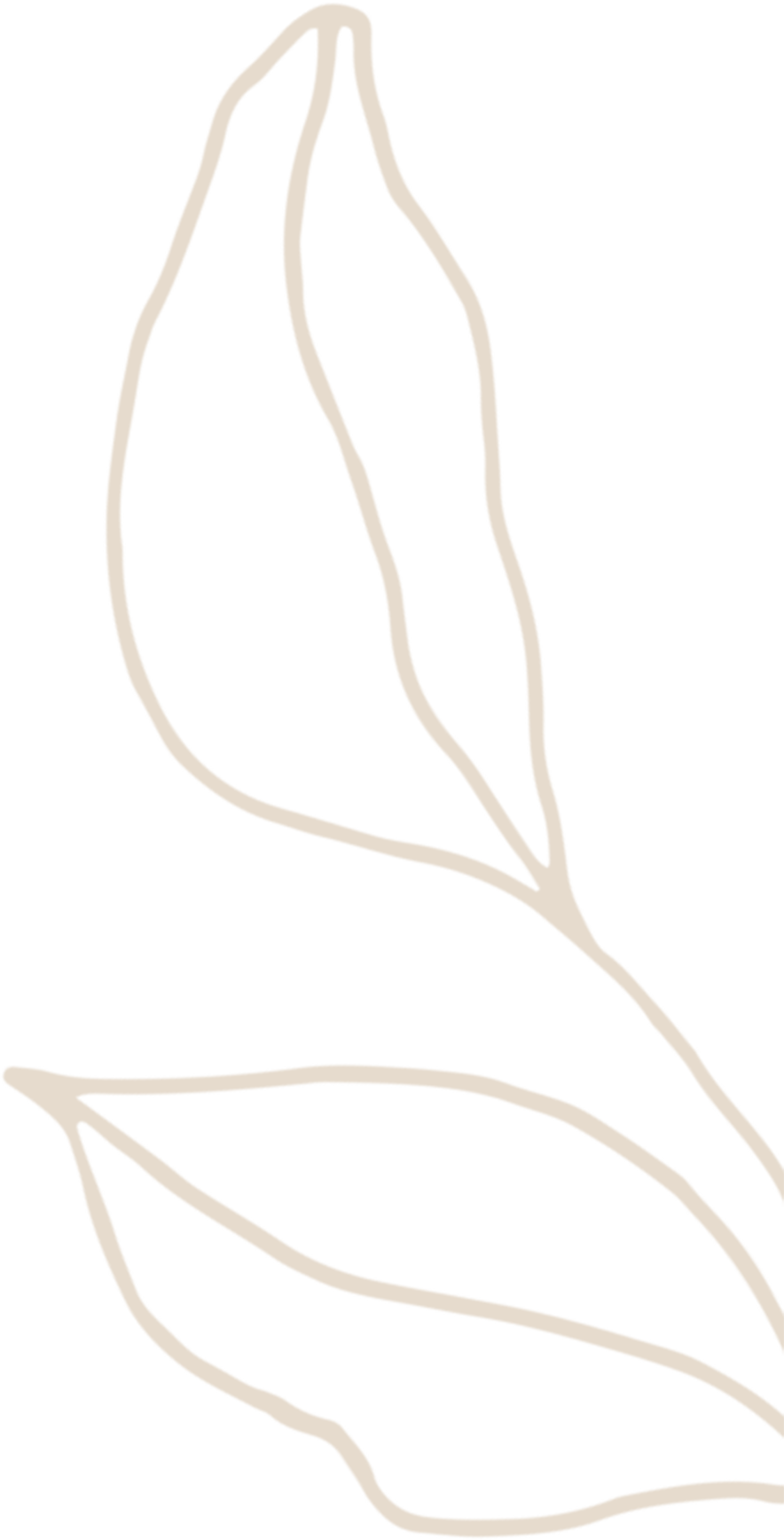 NCF - Nowata Community Foundation - Plant, Seed, Root, Branch, Fruit