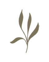 NCF - Nowata Community Foundation - Plant, Seed, Root, Branch, Fruit