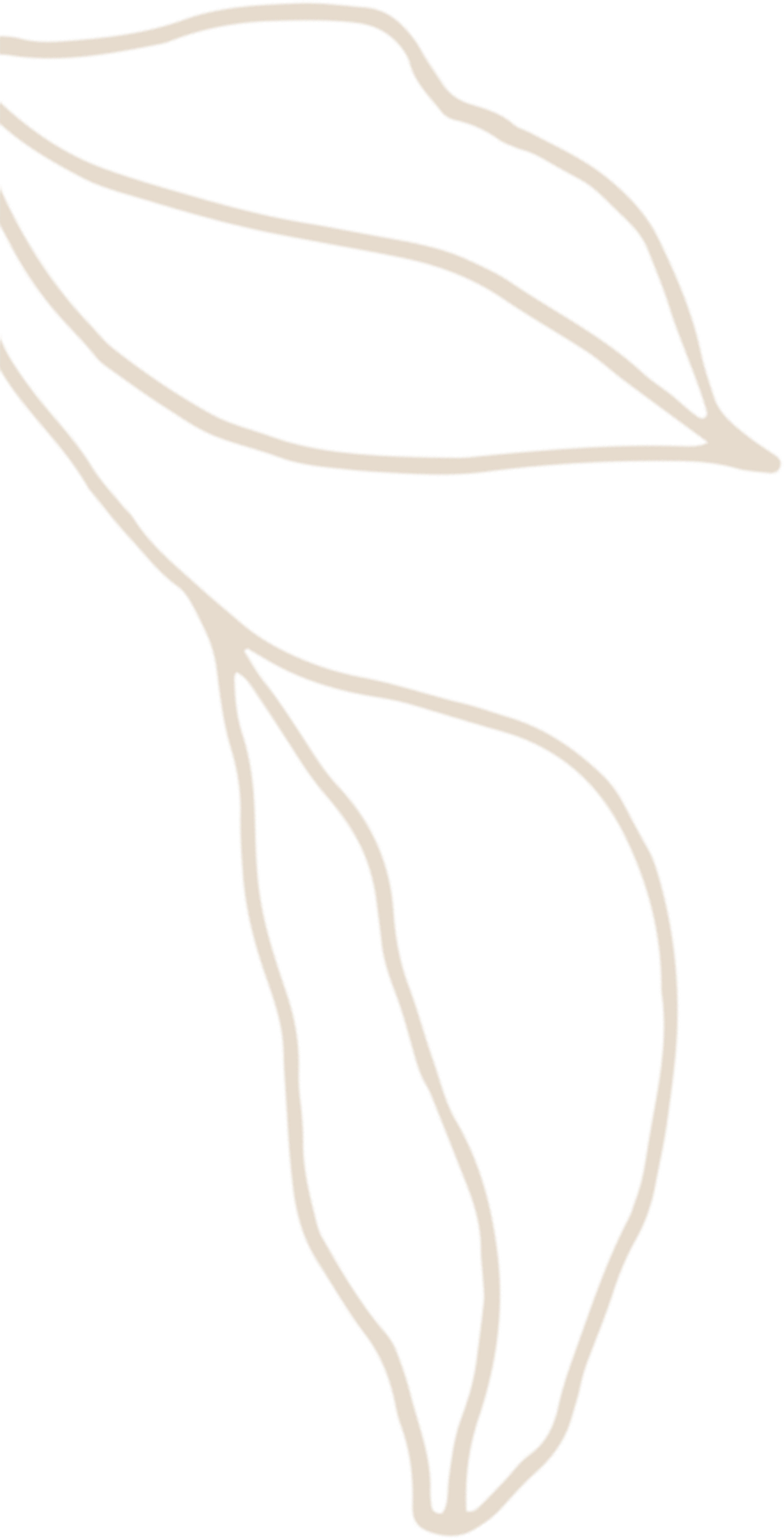 NCF - Nowata Community Foundation - Plant, Seed, Root, Branch, Fruit