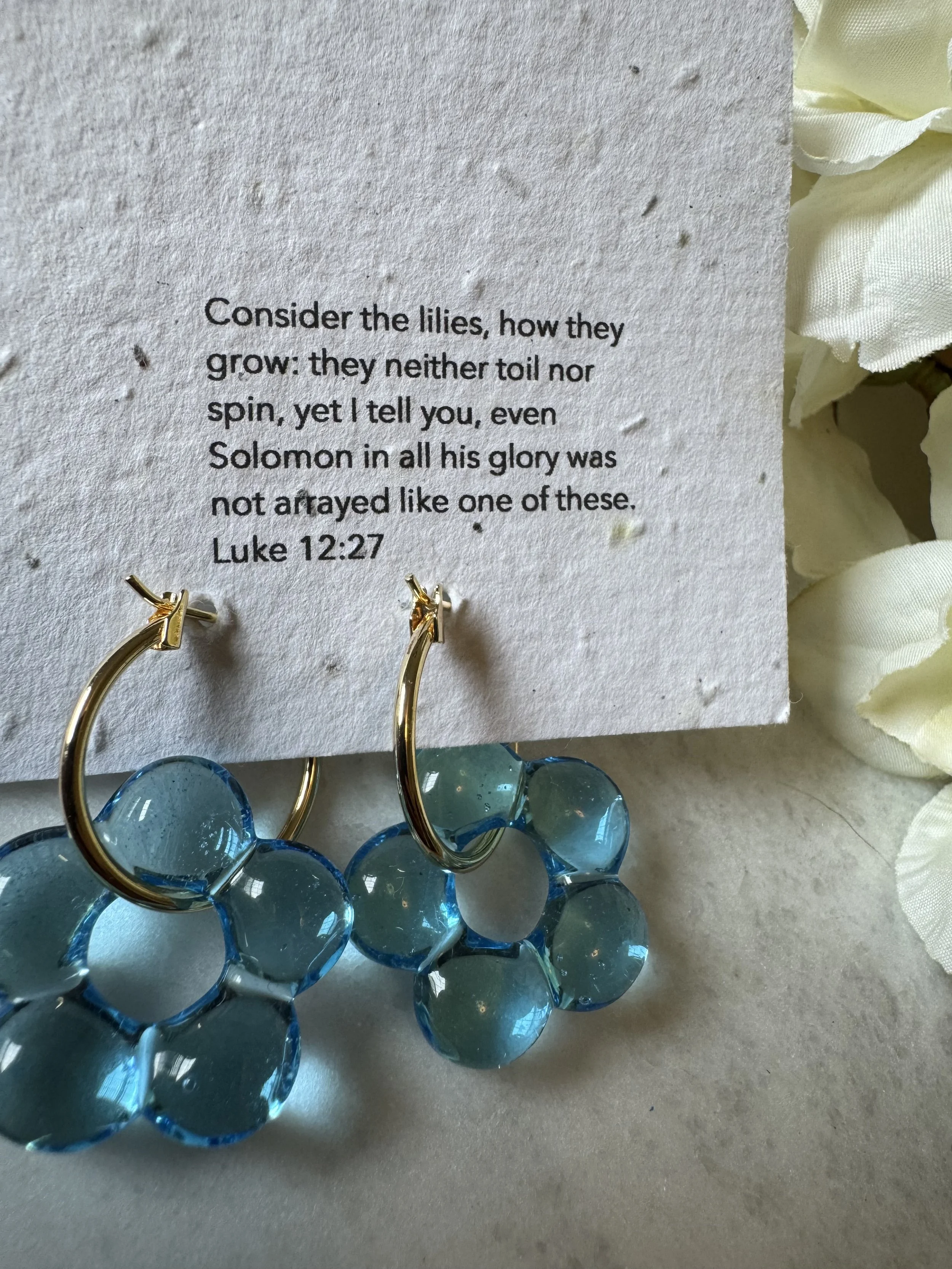 luke 12_27 4.jpeg