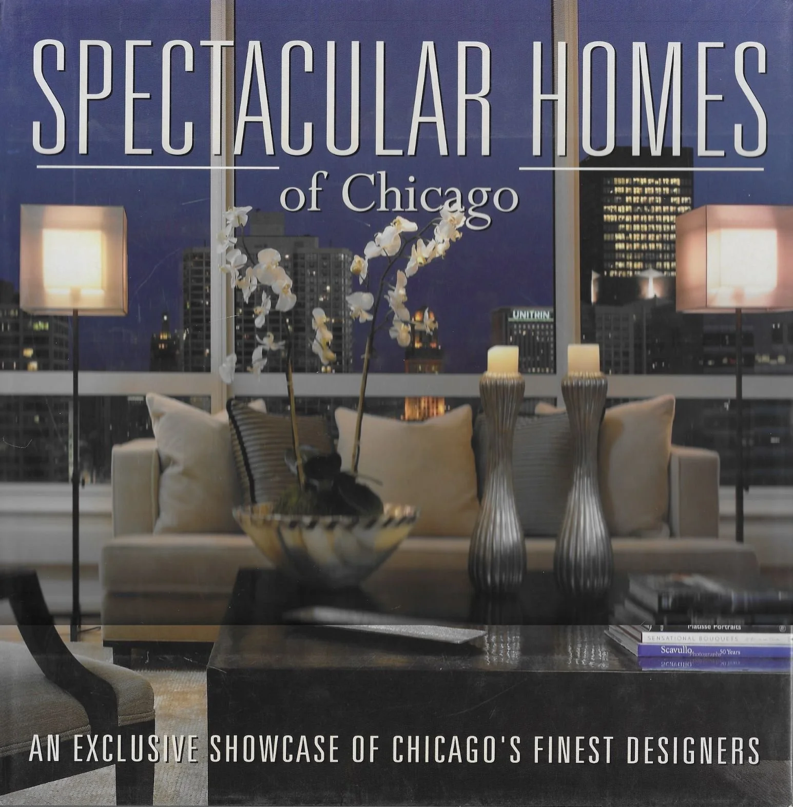 spectacular homes book.jpg