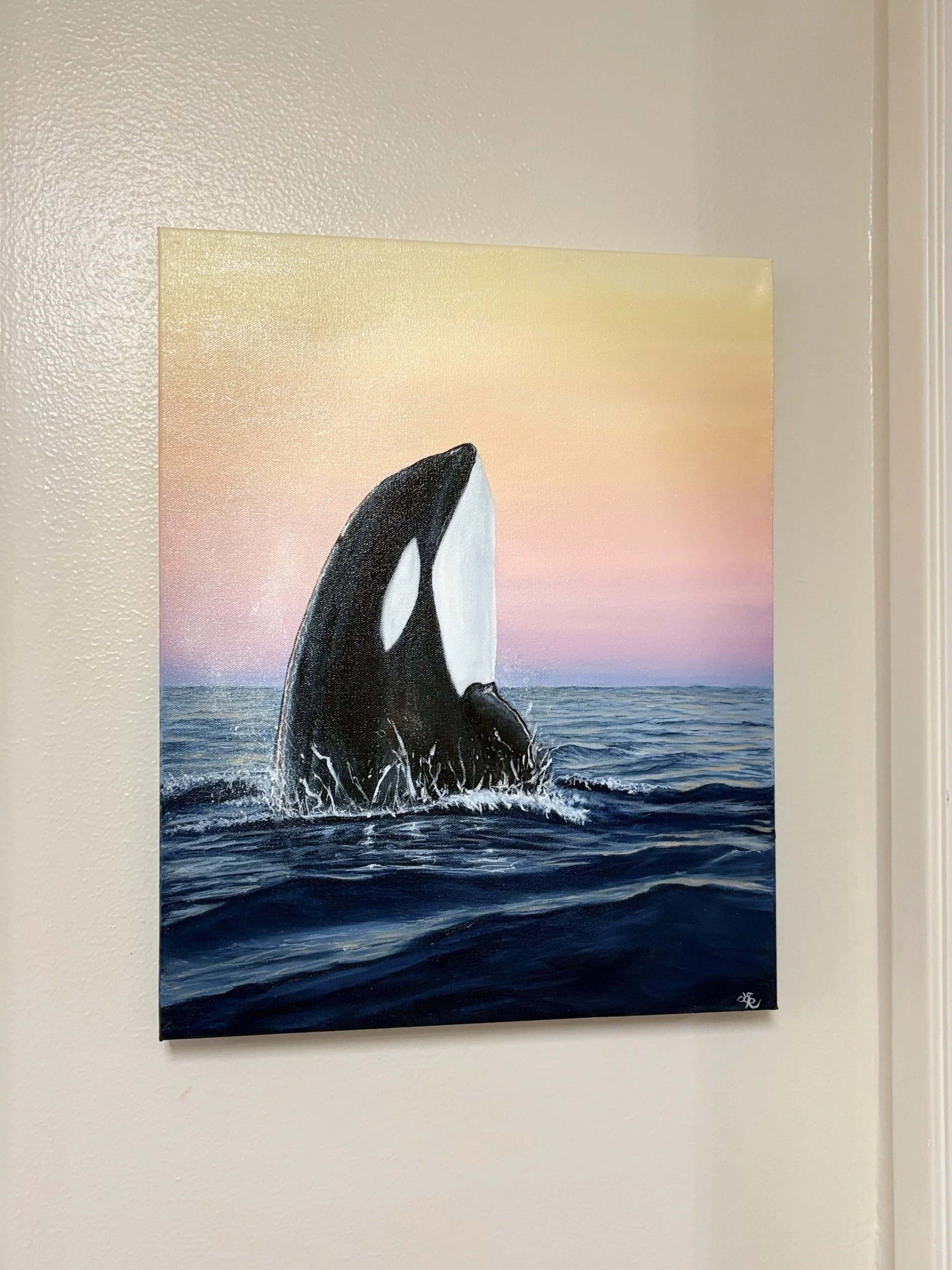 orca2.jpg