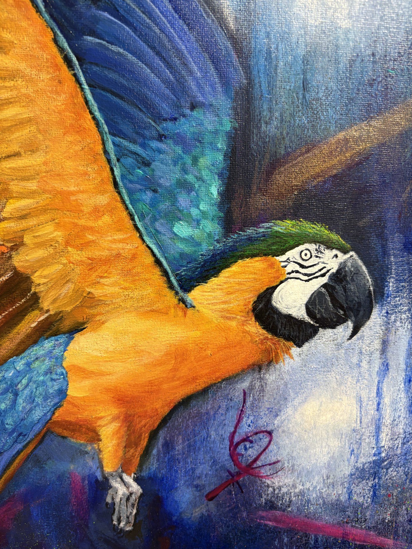 bird4.jpg