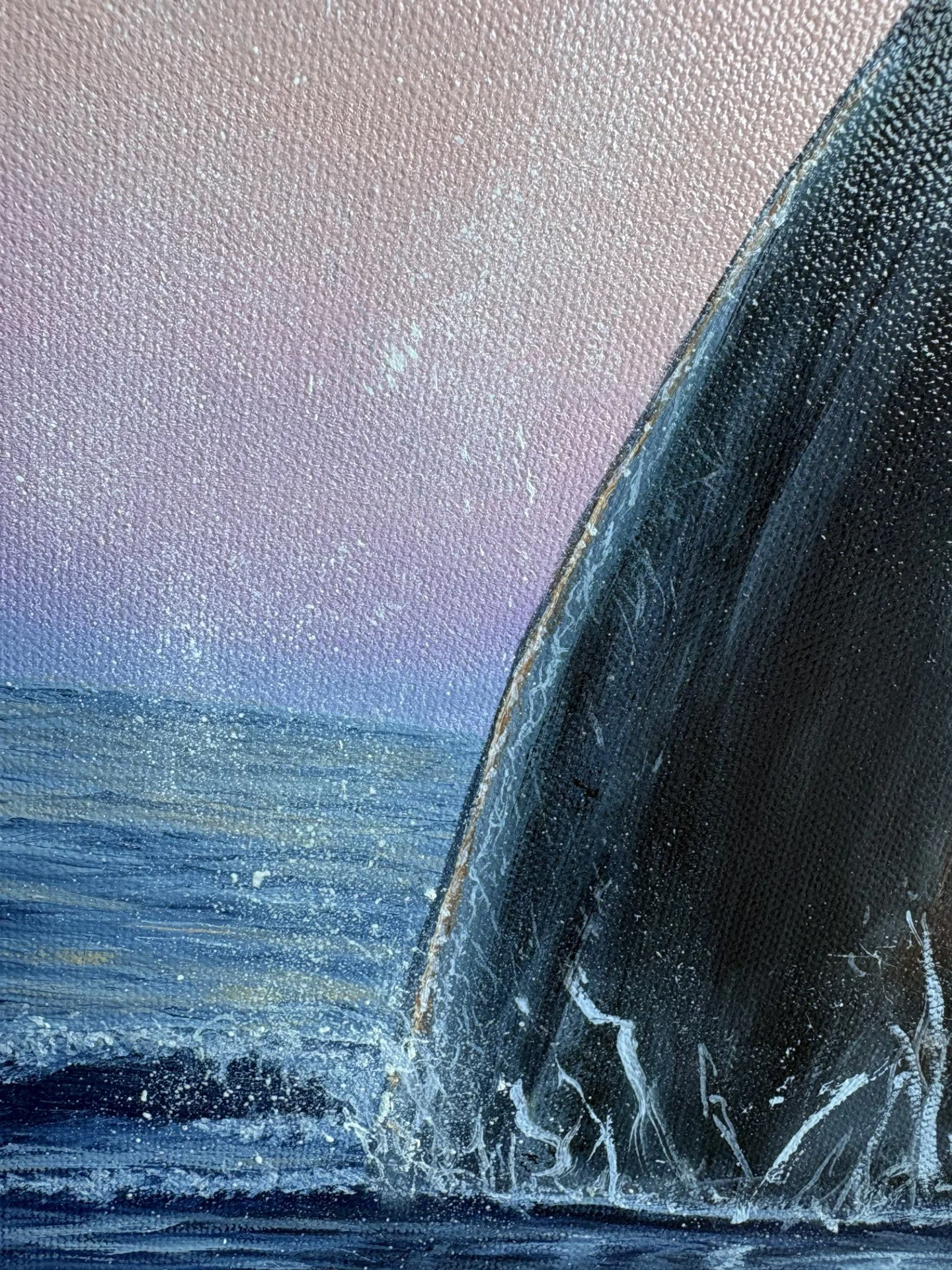 orca4.jpg
