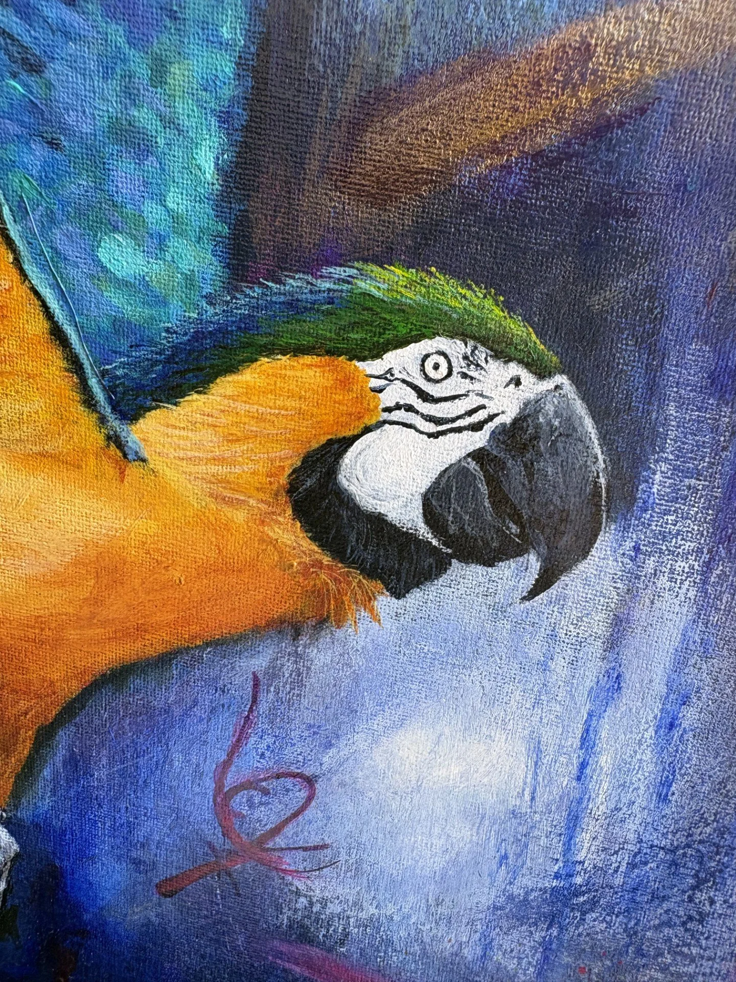 bird3.jpg