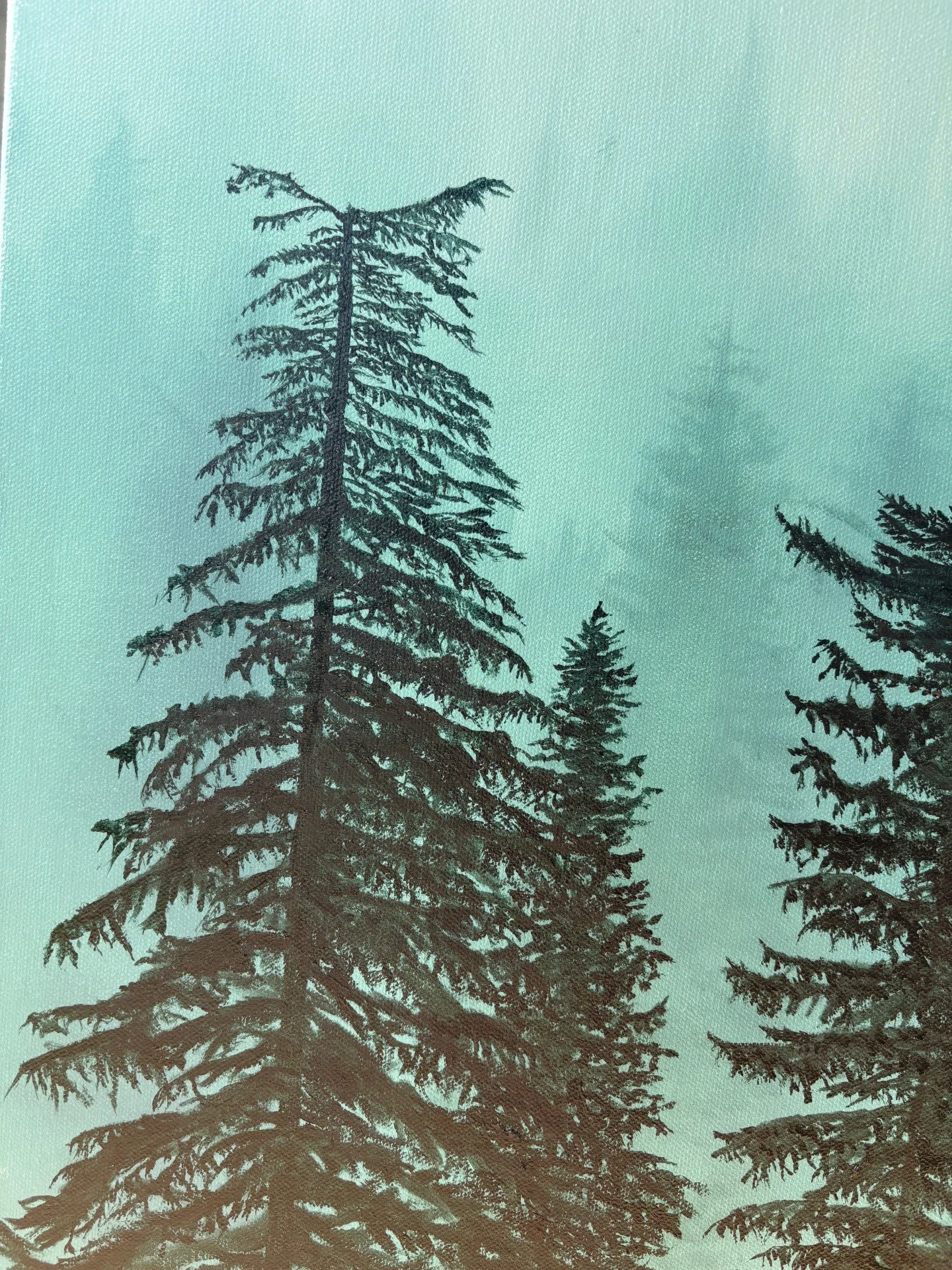 trees17.jpg
