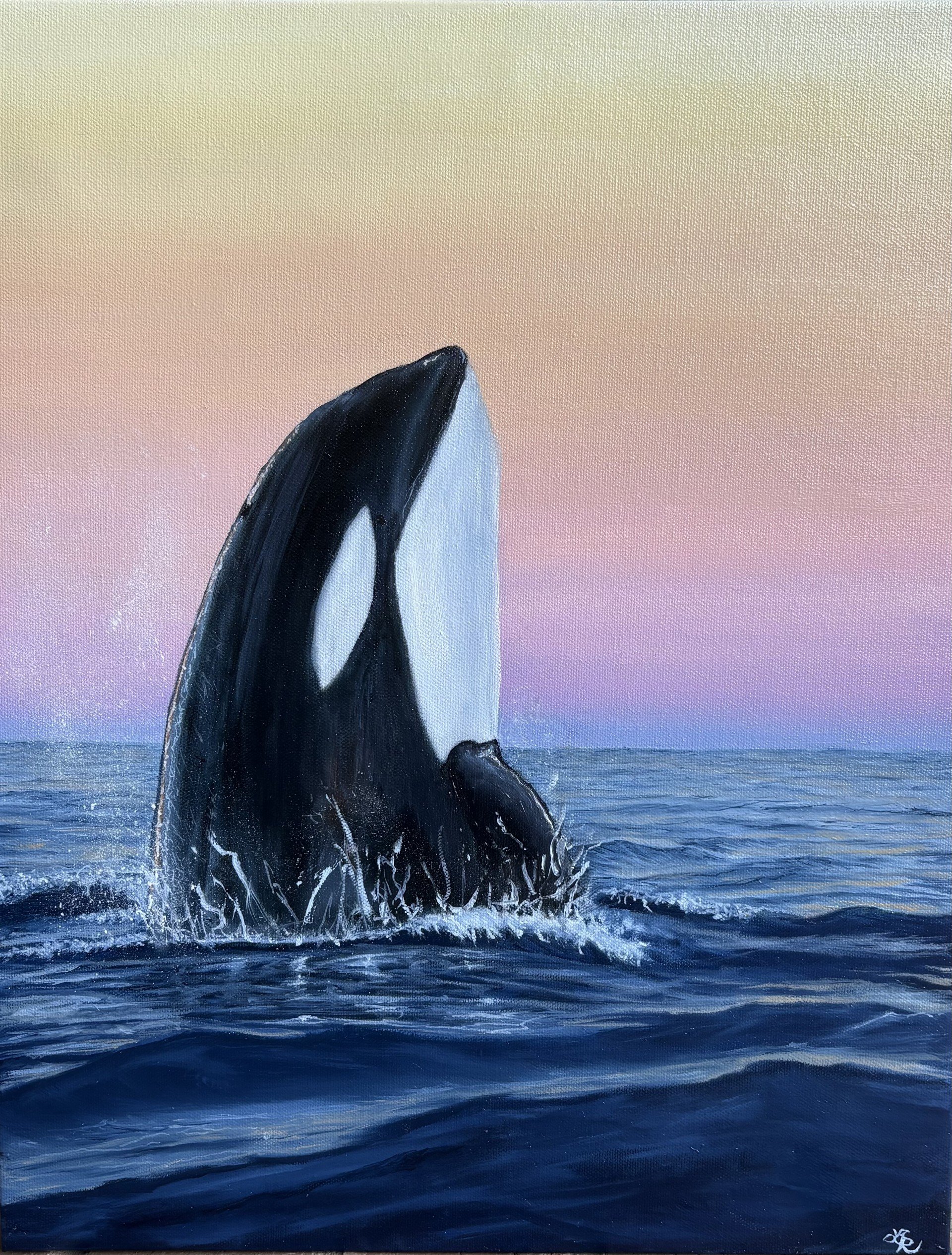 Orca Oil Painting, Realism, Coastal Art, Original Painting, Sunset, Pacific Northwest Art