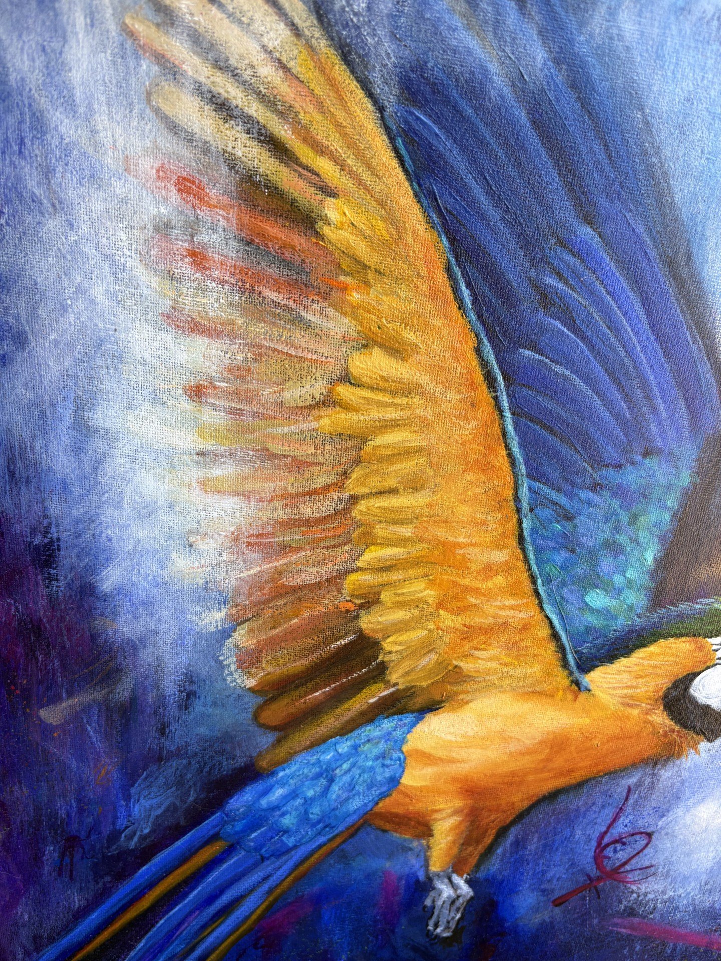 bird2.jpg