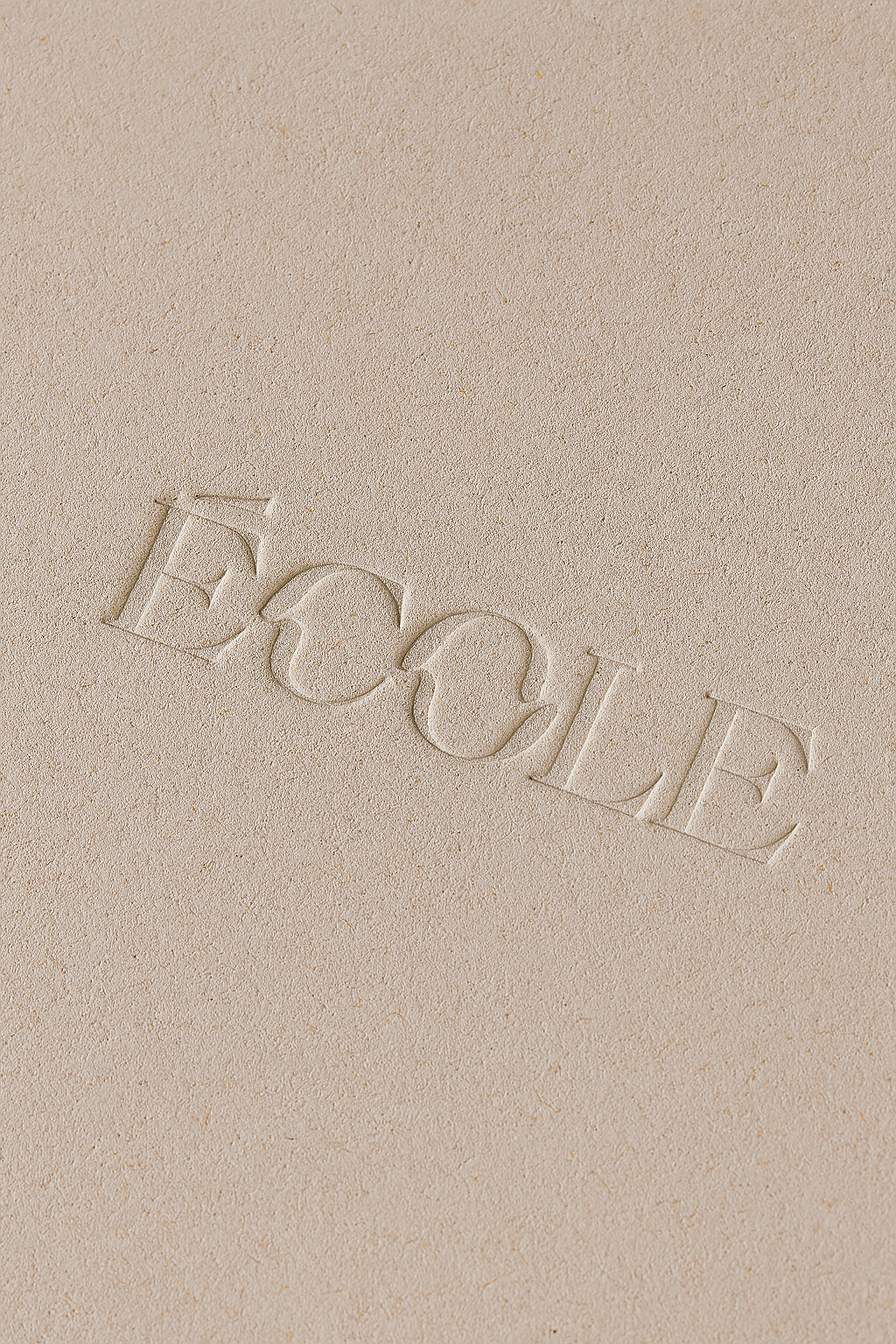 image 11.png