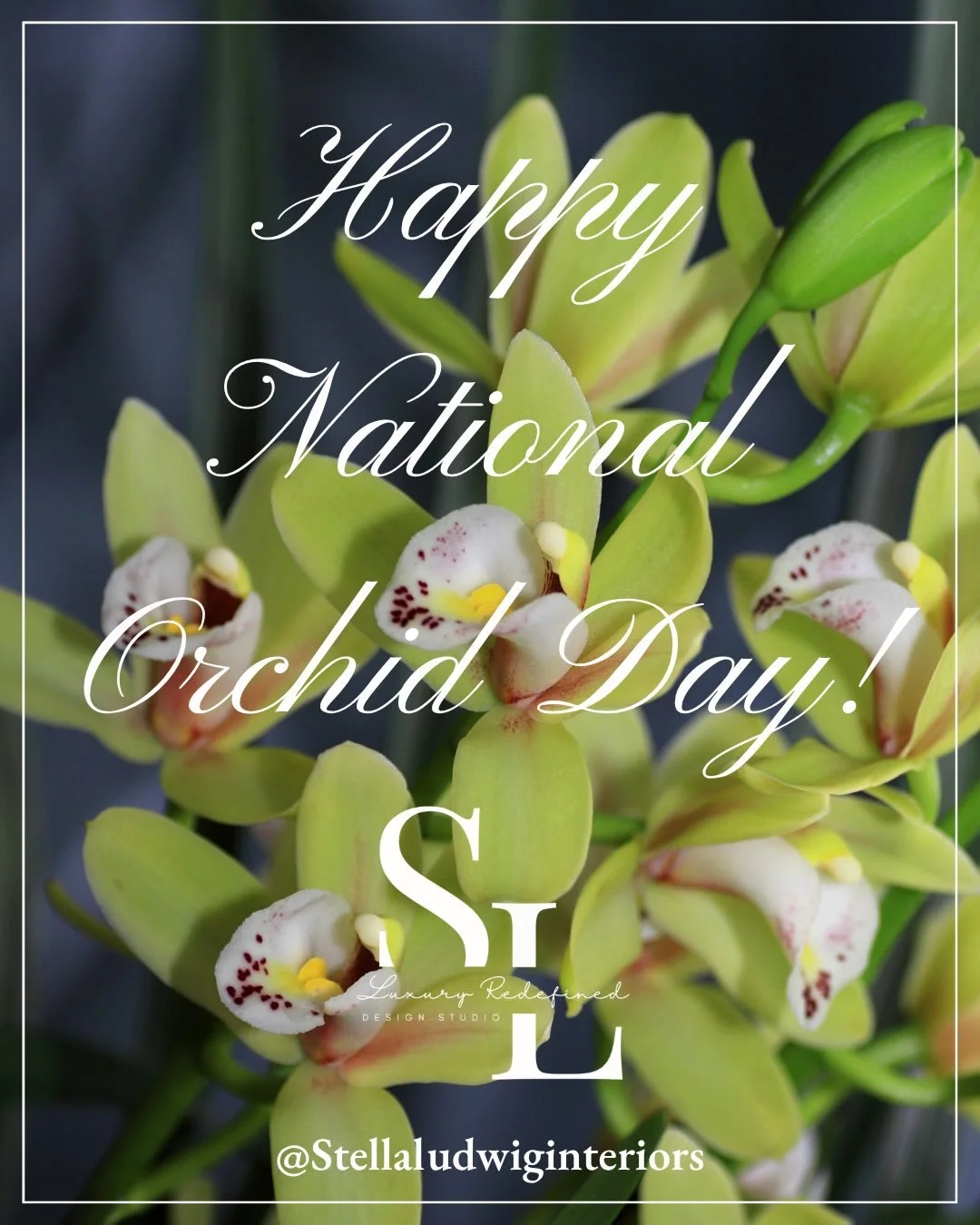 Orchids are the ultimate symbol of effortless luxury&mdash;elegant, sculptural, and timeless. Whether styled as a single stem on a coffee table or layered into a grand entryway, they instantly elevate any space.

Designer tip: keep it simple. Let orc