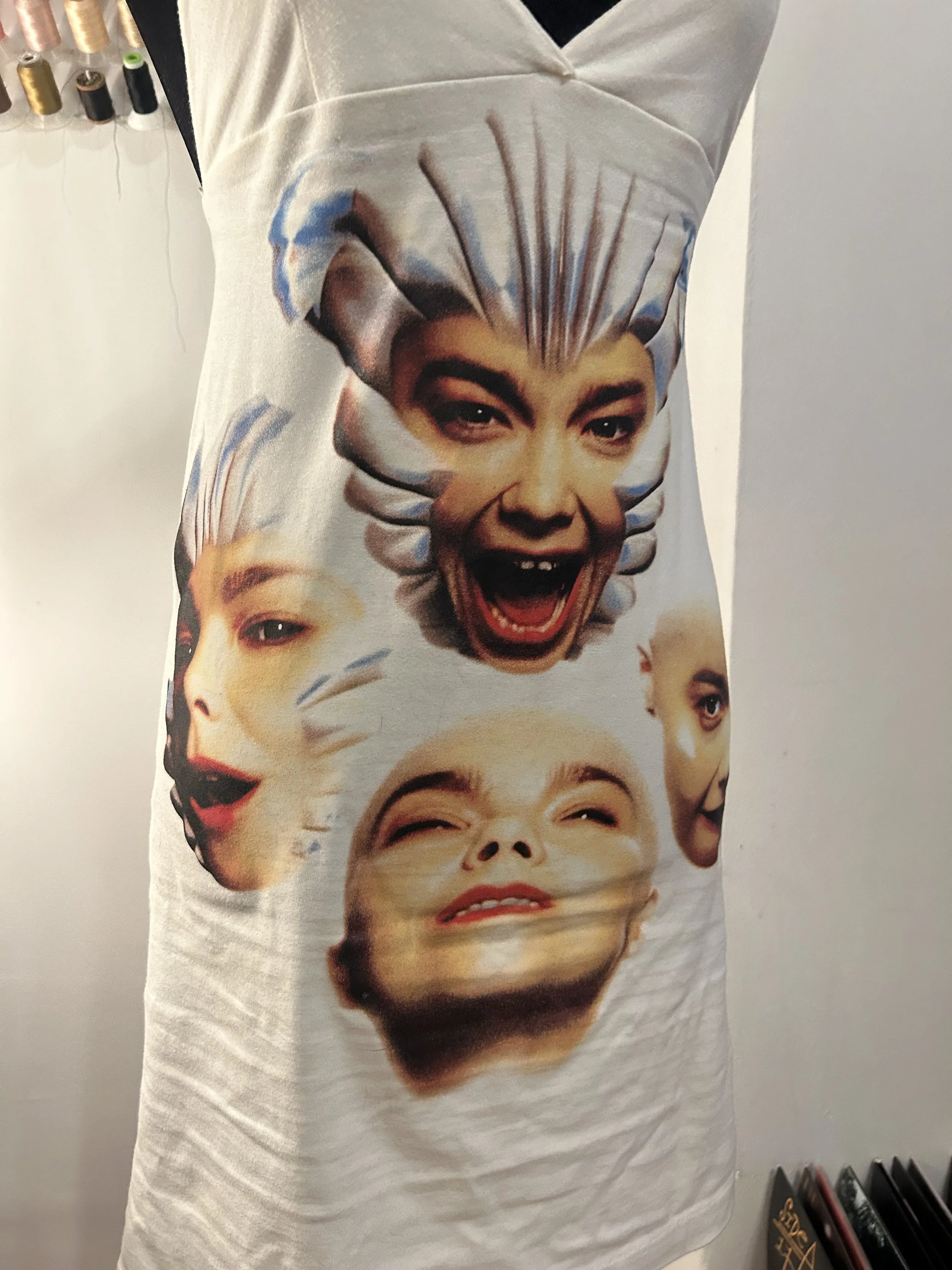 Bjork2.jpg