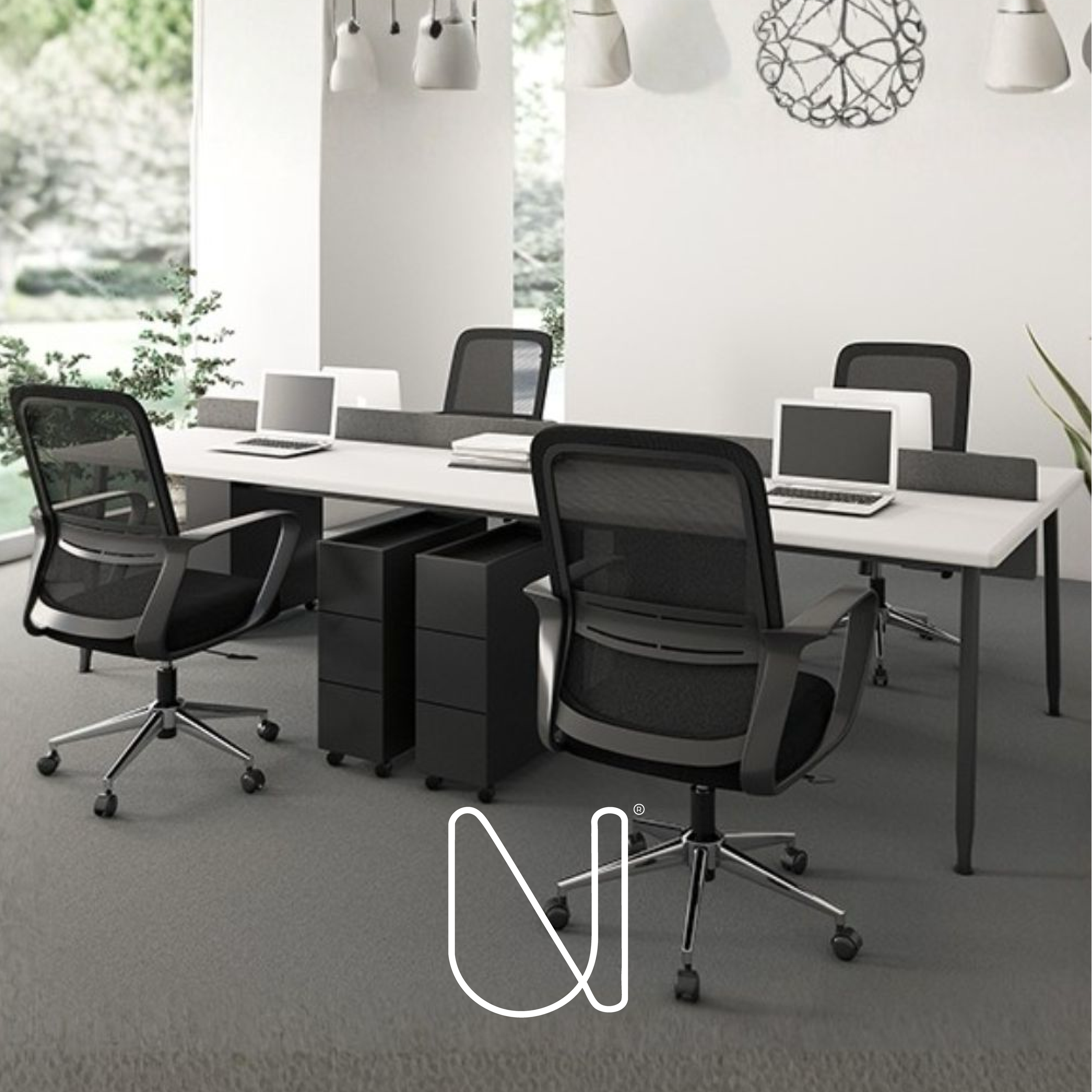 Sin título-14_Mesa de trabajo 1-54.png