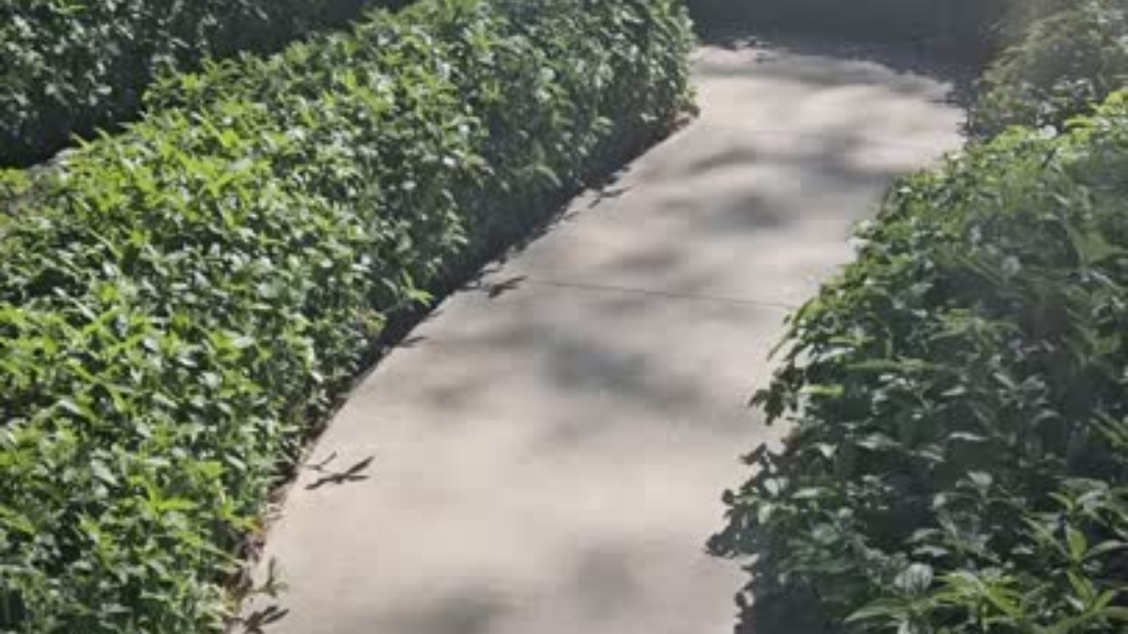 You Can See the Center… But You Still Have to Walk the Path