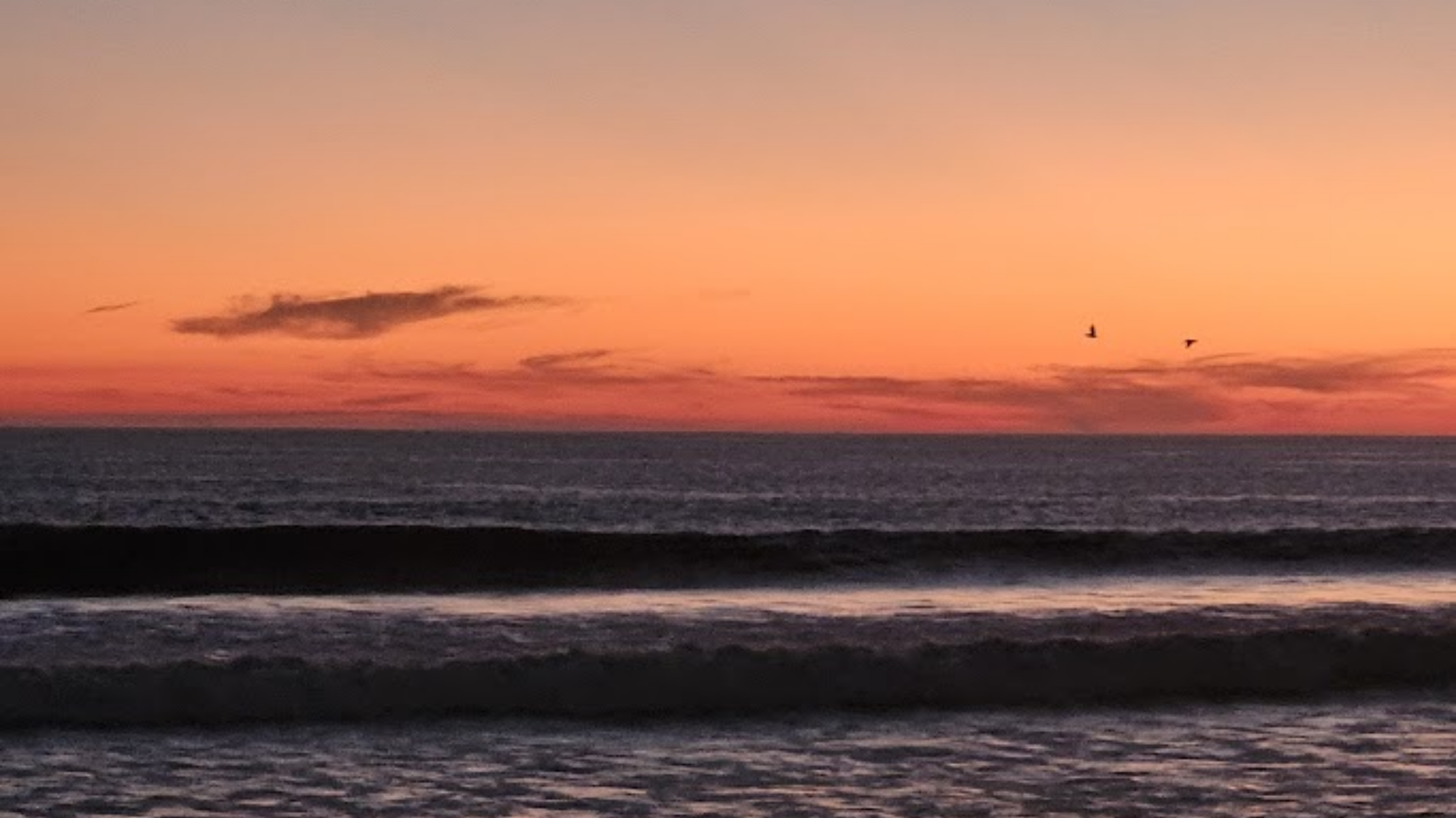 Quarter One Reflections