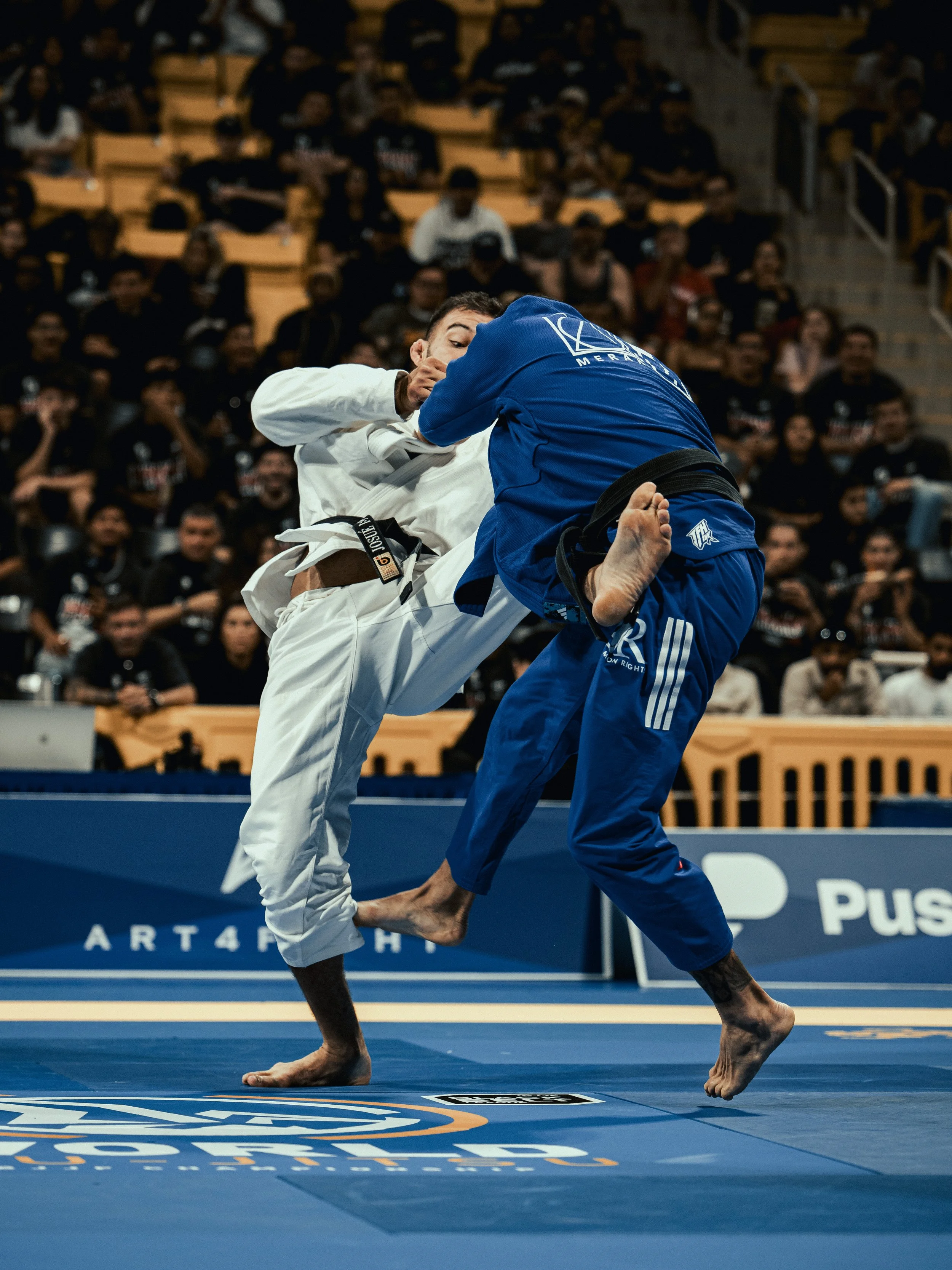 IBJJF WOLRDS - DAY 4-145.jpg