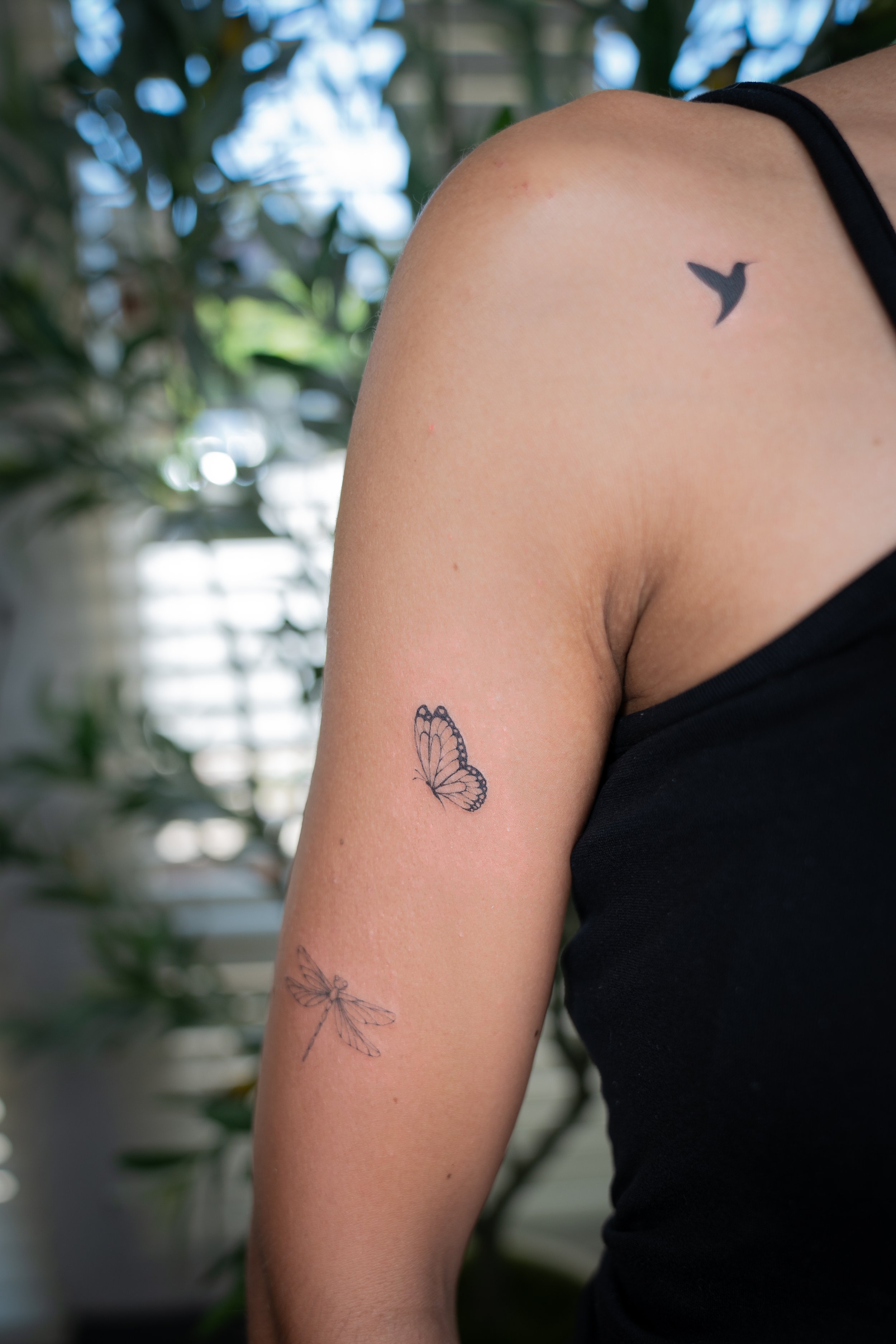 Close-up of a person's upper arm and shoulder, showing three small tattoos: a whale on the shoulder, a butterfly on the upper arm, and a dragonfly on the arm, with a background of greenery and window blinds.