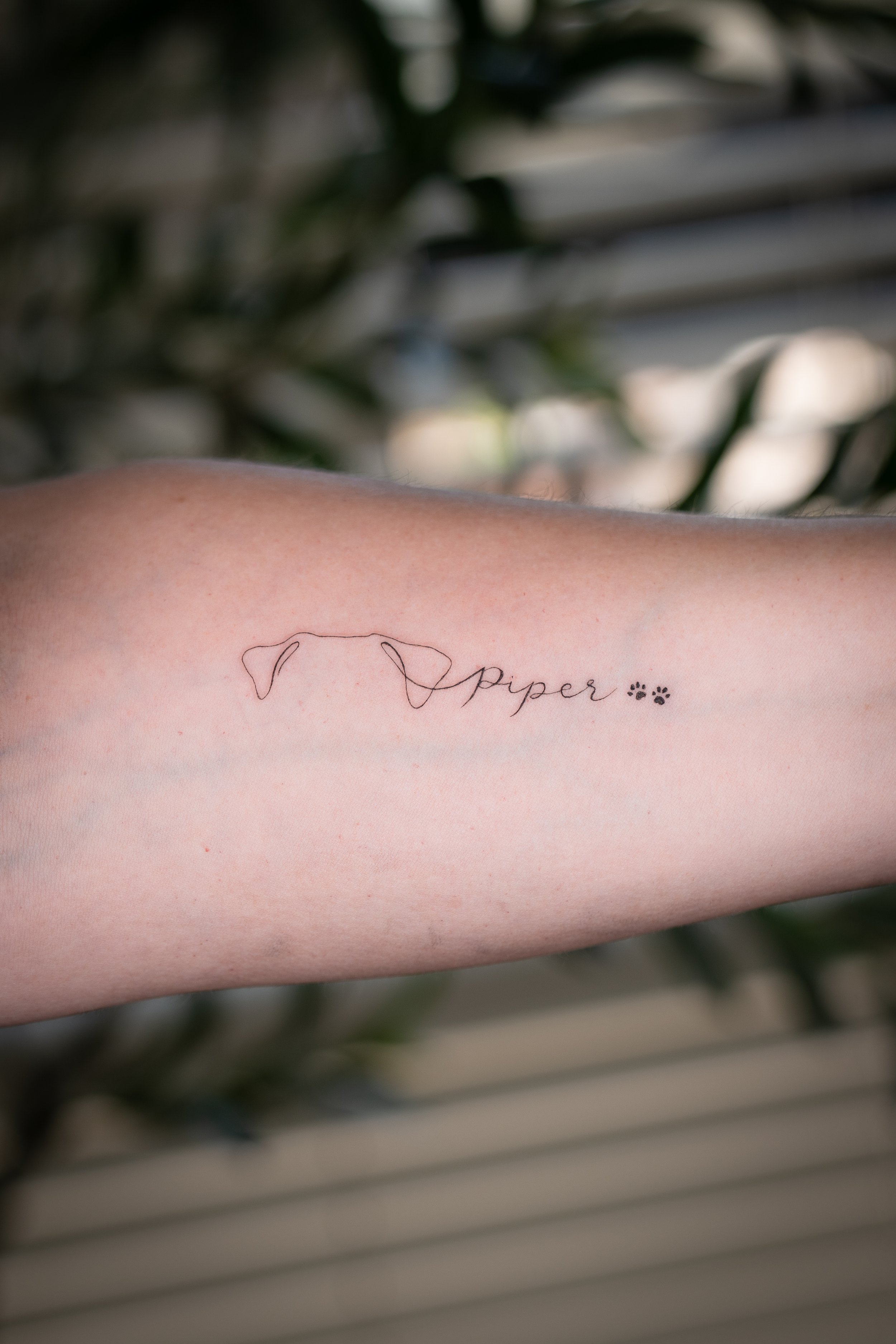 Tattoo on forearm with a line-drawing of a dog’s head, the word 'piper' written in cursive, and two small paw print symbols.
