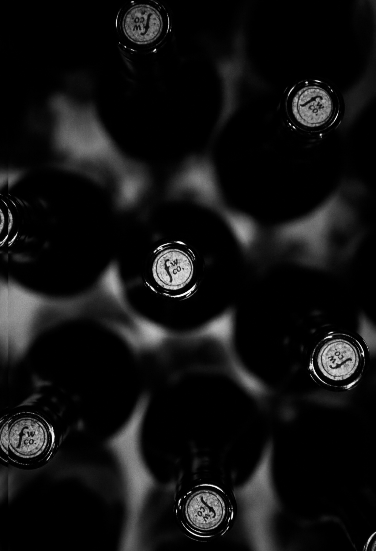 Top-down view of several bottles with visible caps, featuring a logo that reads 'fw co.' in a circular design.