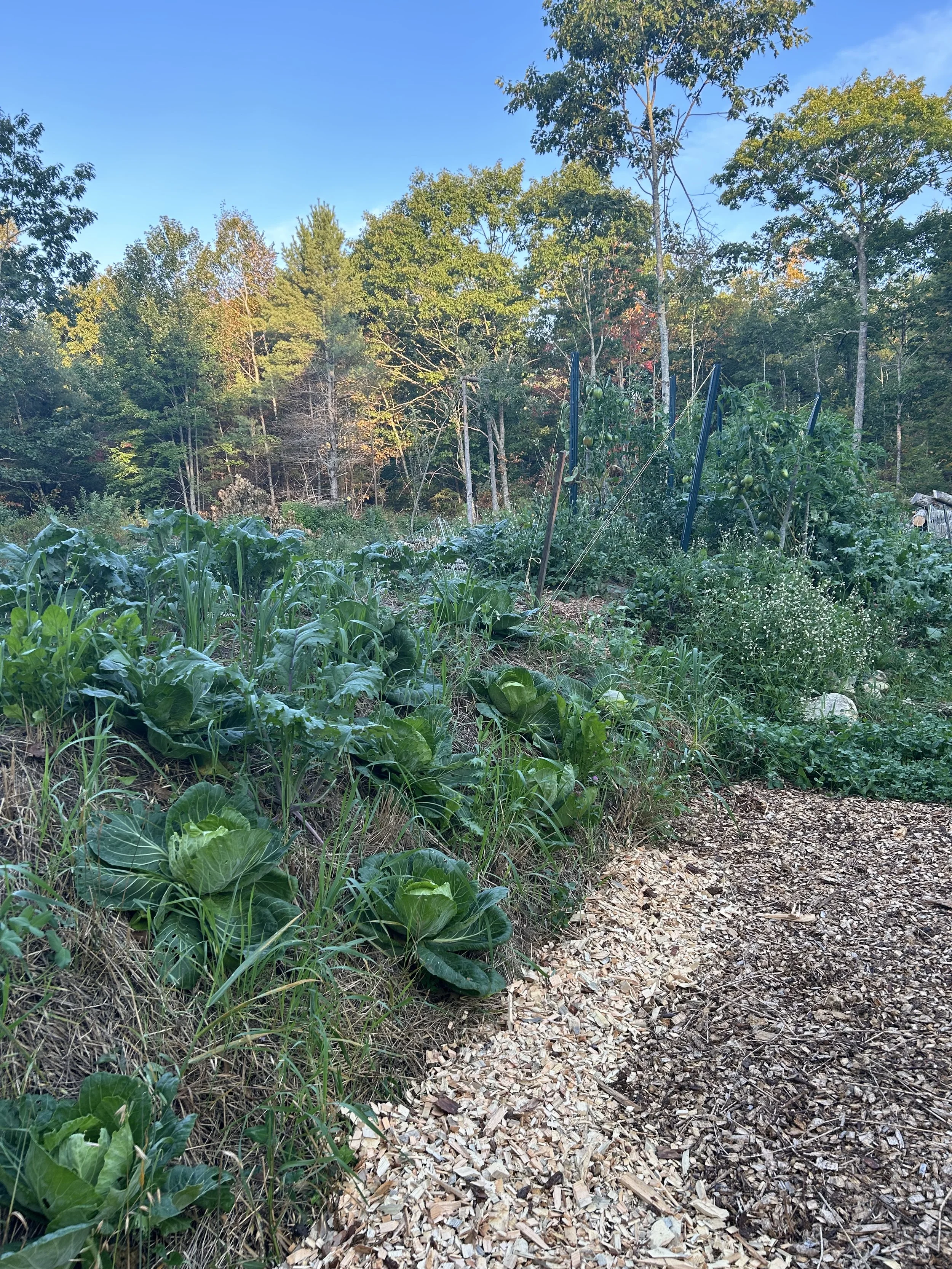 Hugelkultur Workshop