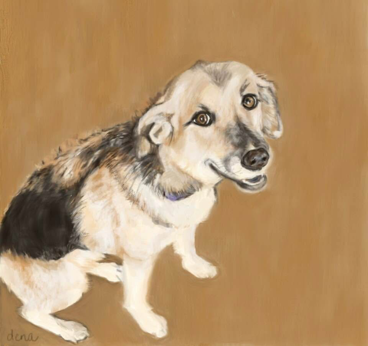 Pet Portraits Dog Series