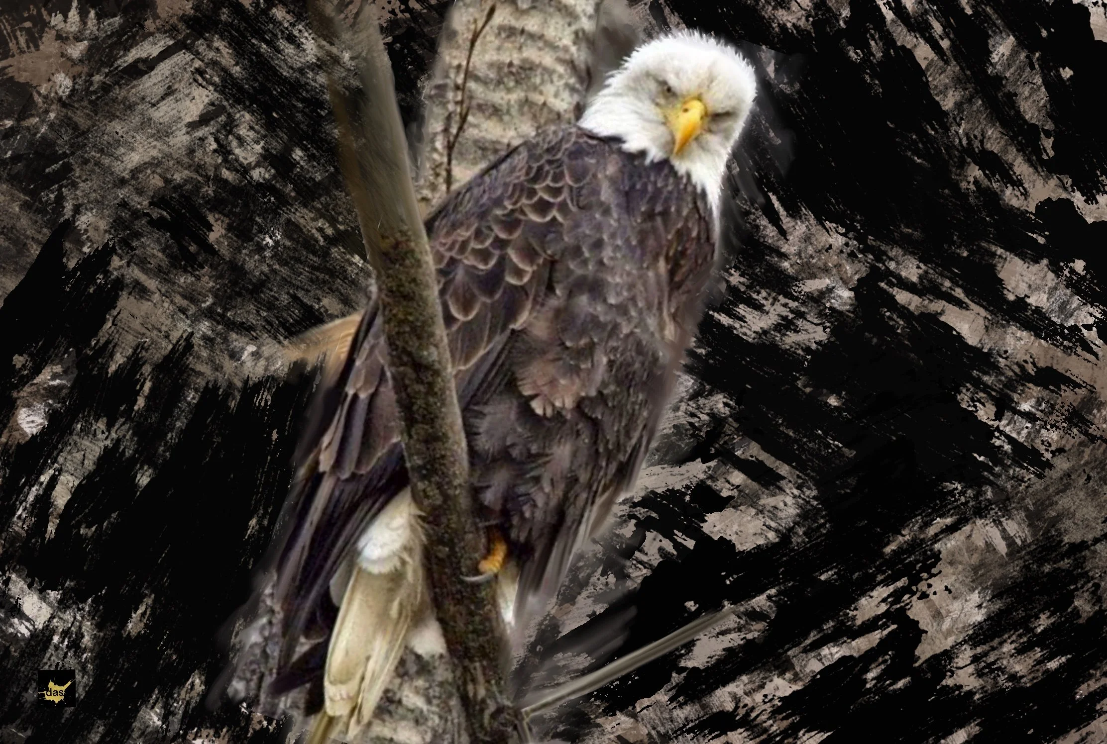 Animal Portrait on Abstract Painting