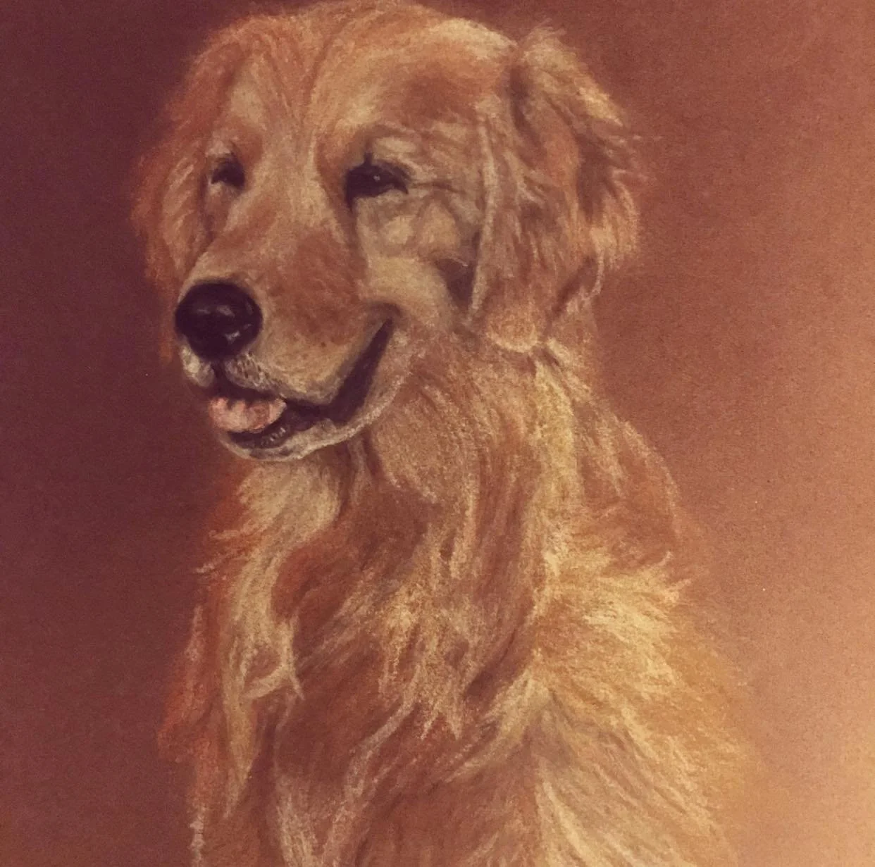 Commission Pet Portrait SOLD