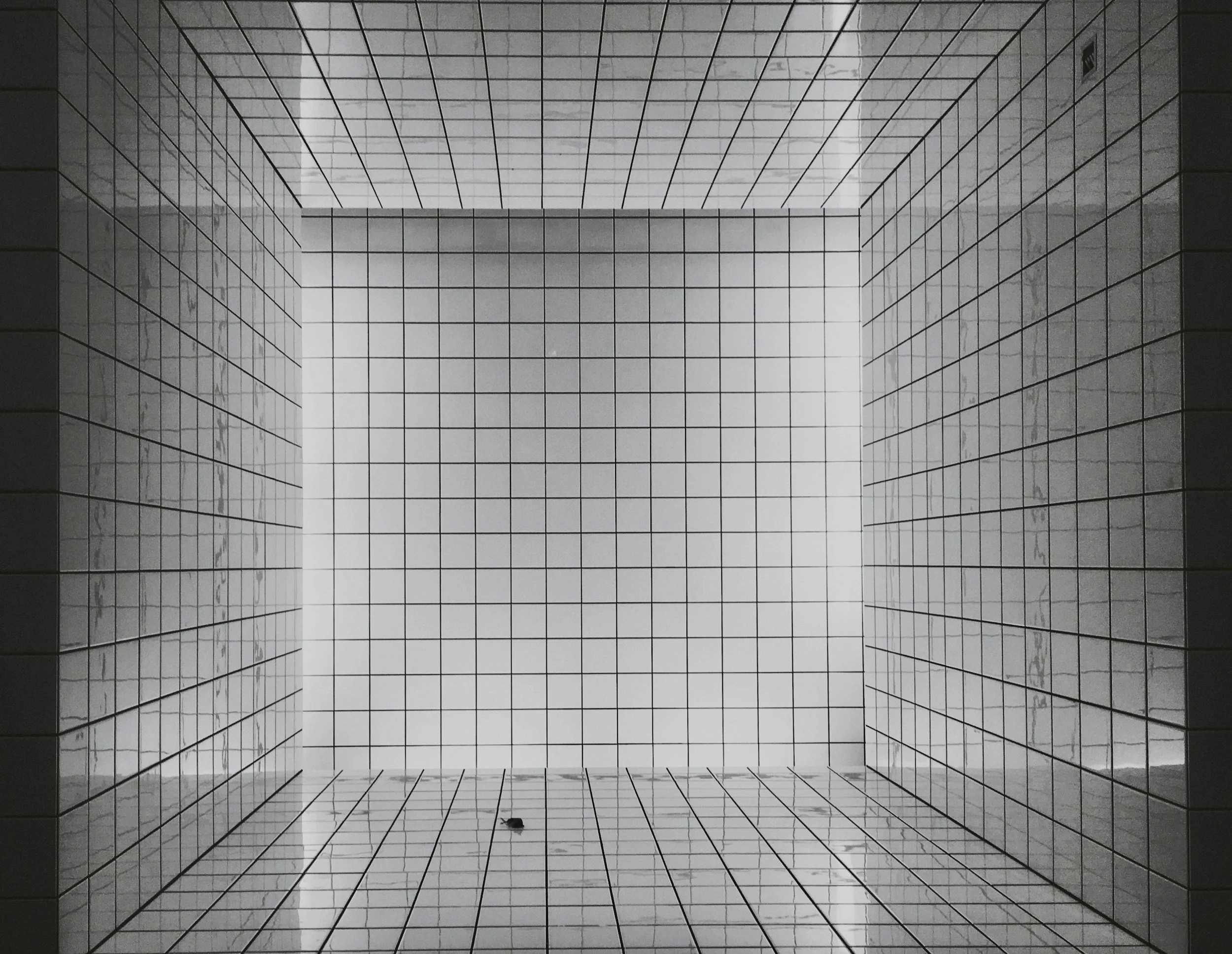 Blog vs. Portfolio in Squarespace: Which One Should You Use?